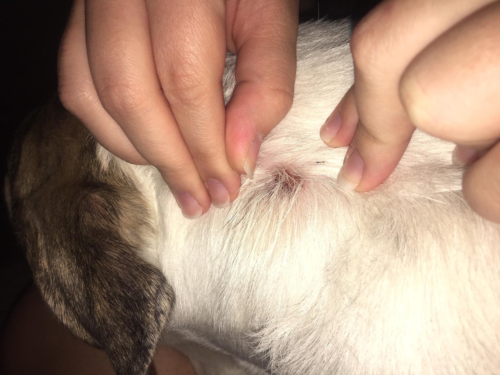 Question details sensitive content