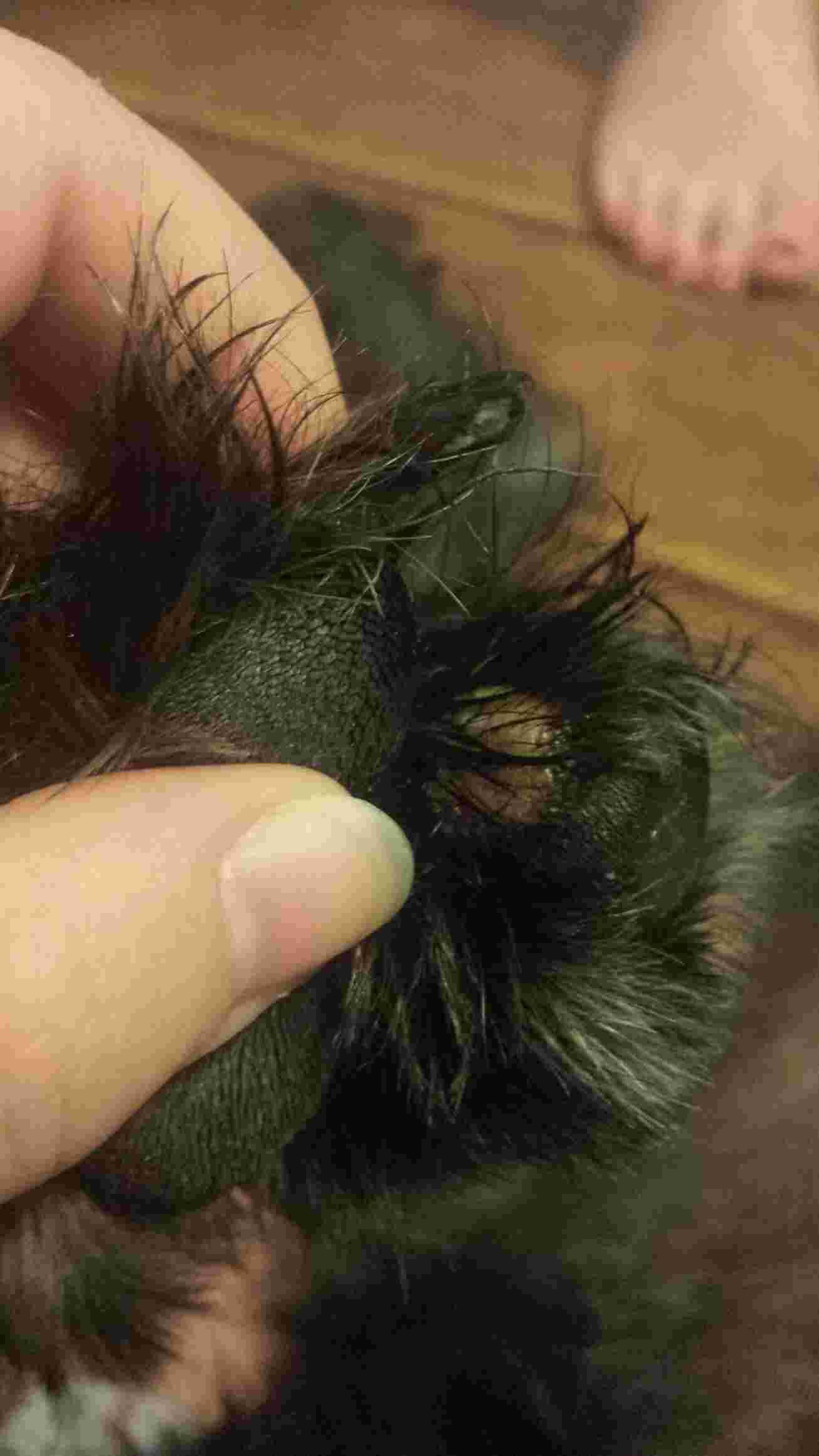 Question details sensitive content