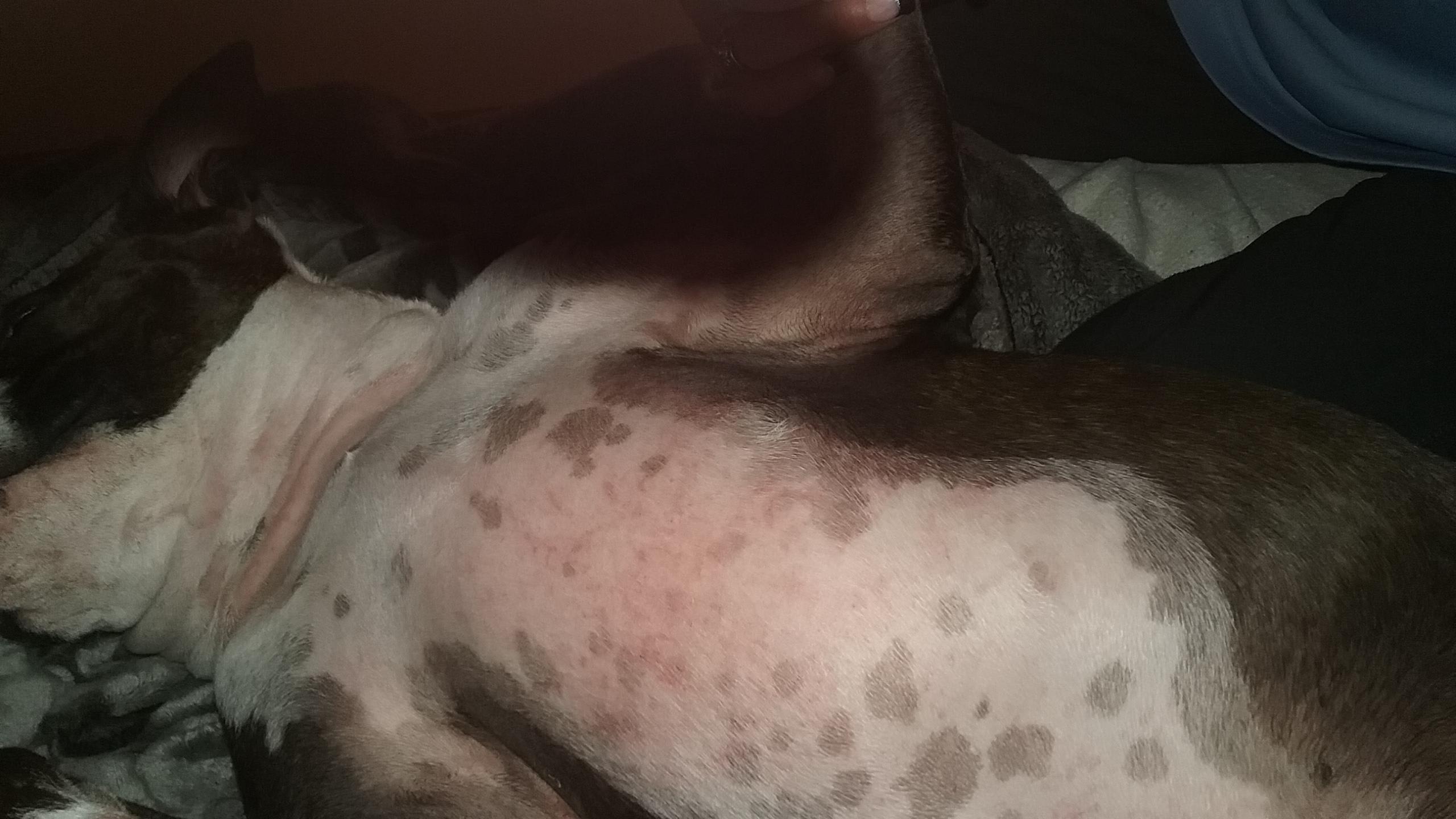 Question details sensitive content