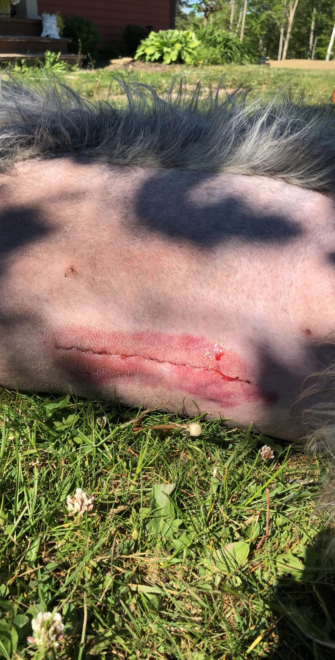 Question details sensitive content