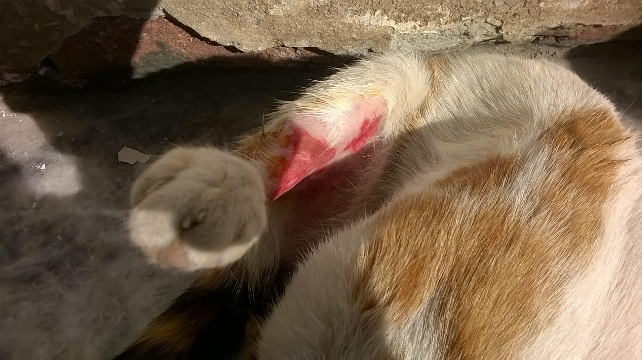 Question details sensitive content