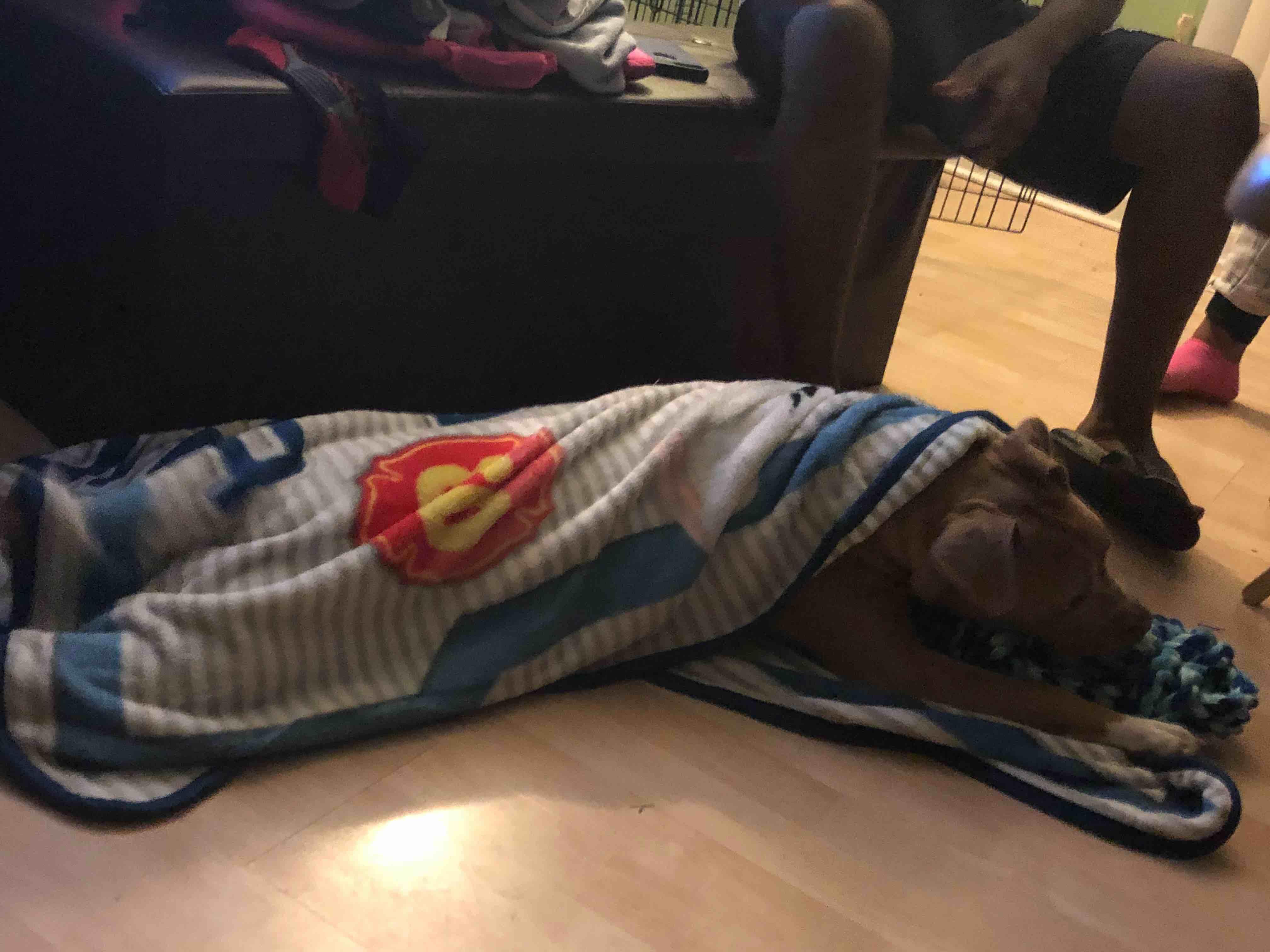 Question details sensitive content