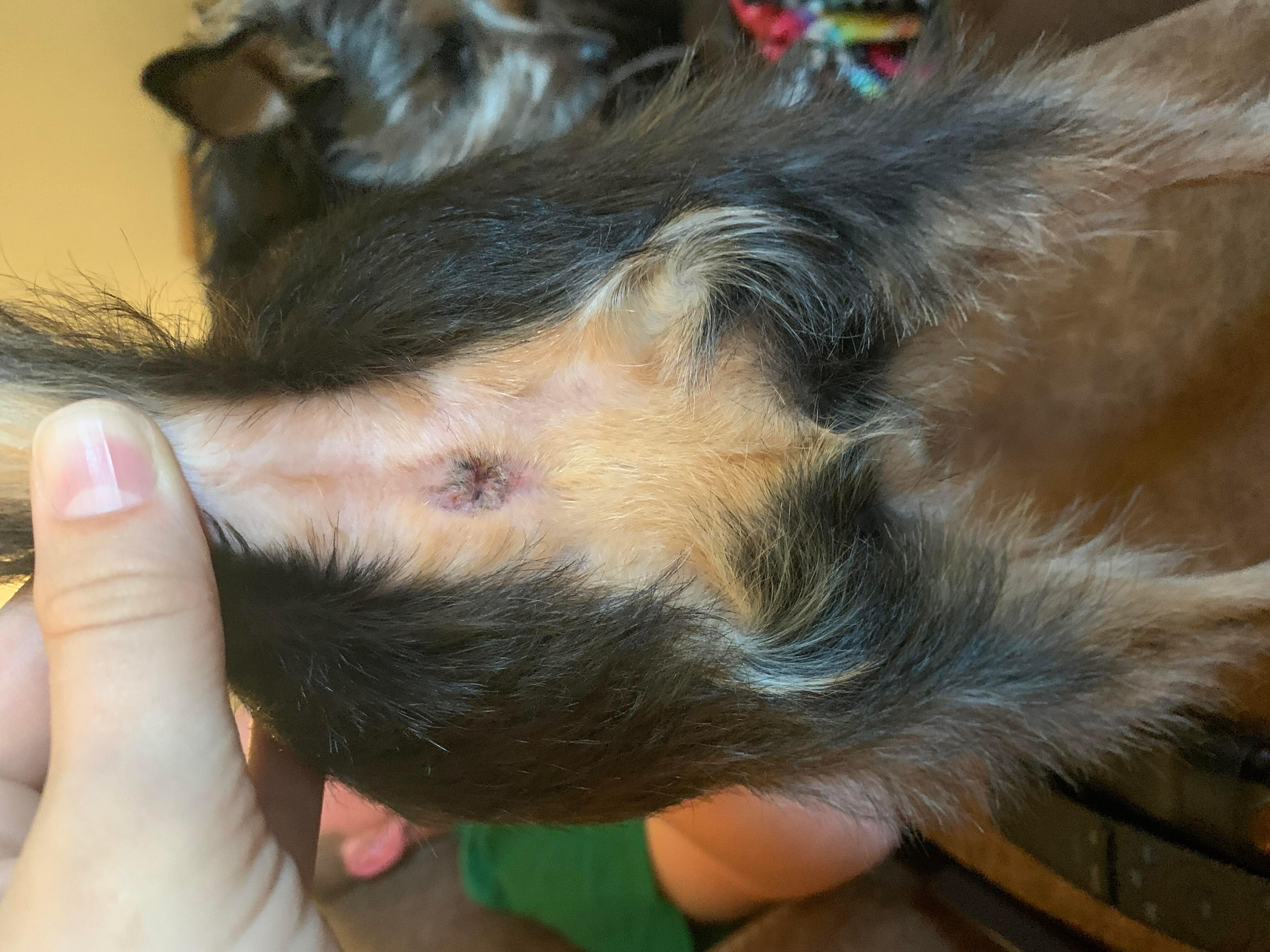 Question details sensitive content