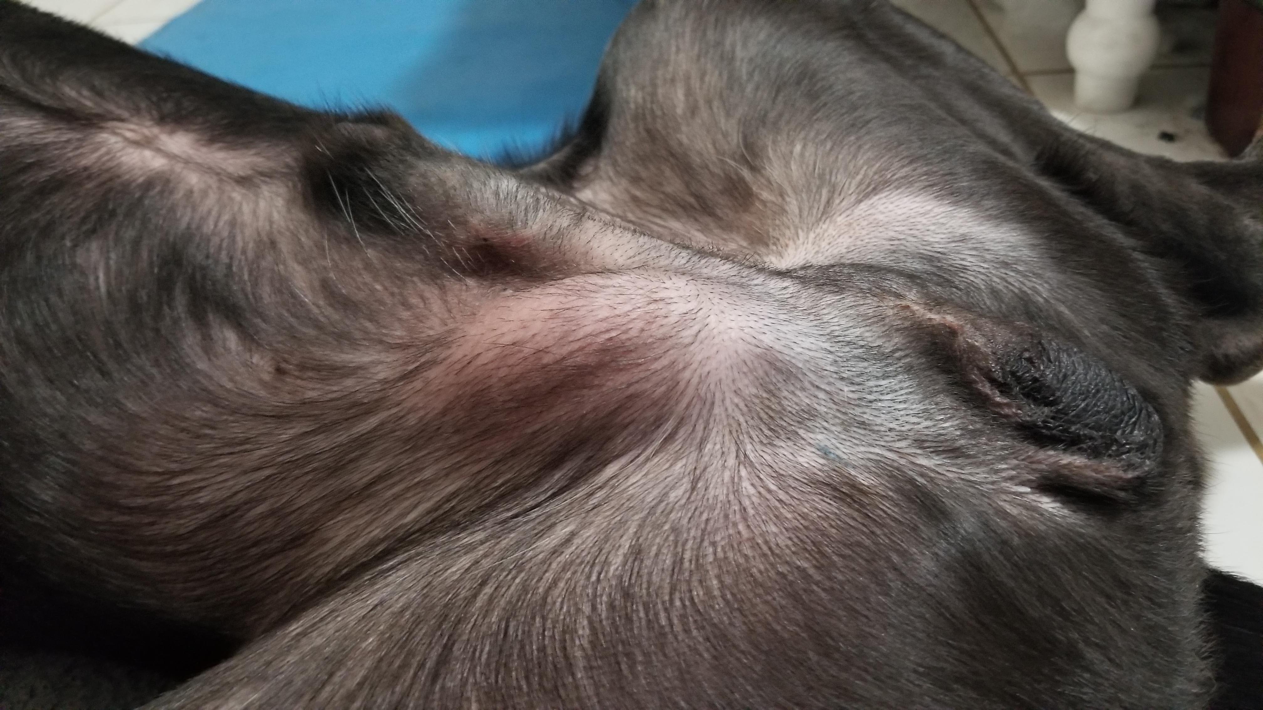 Question details sensitive content