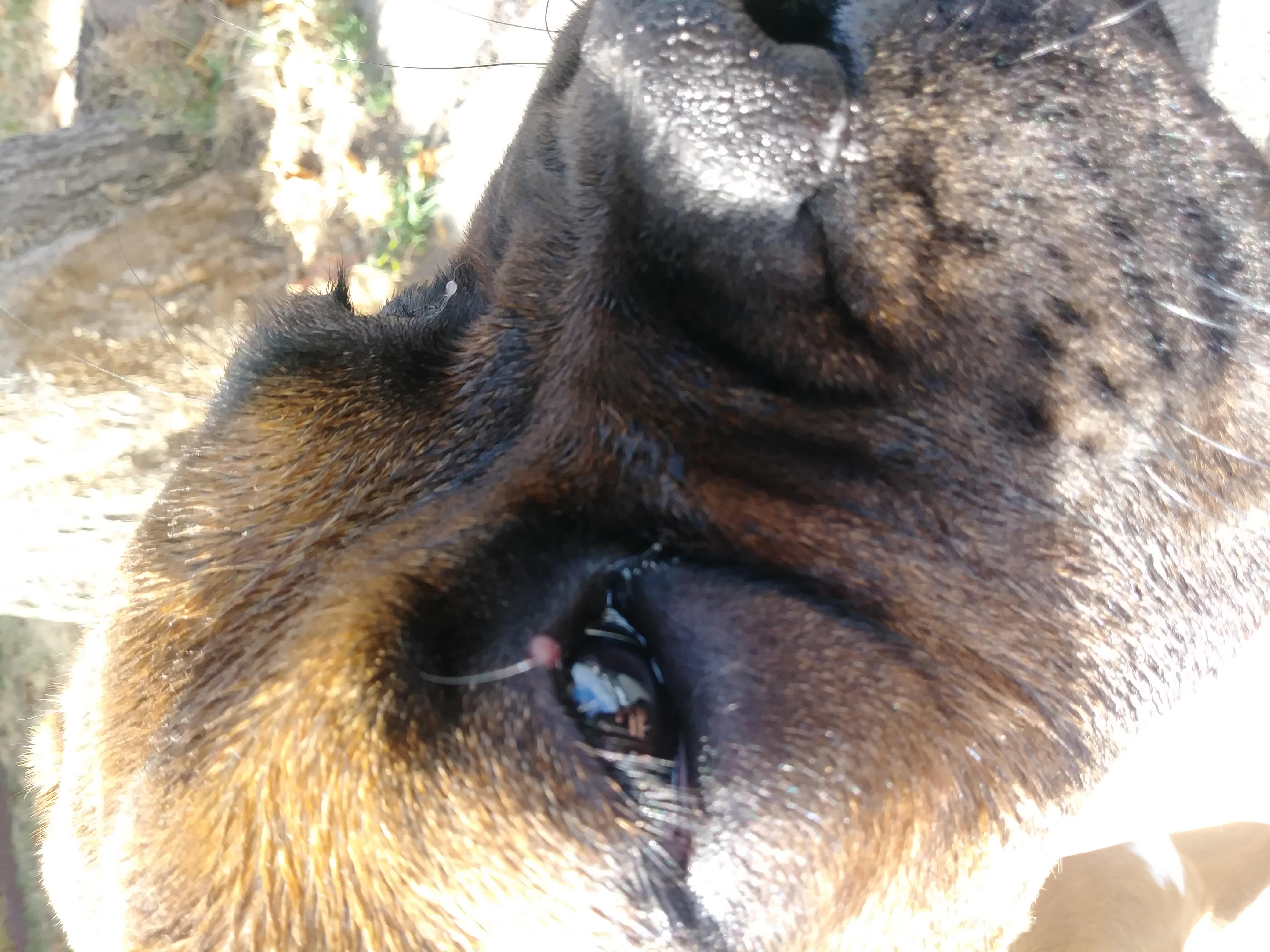 Question details sensitive content