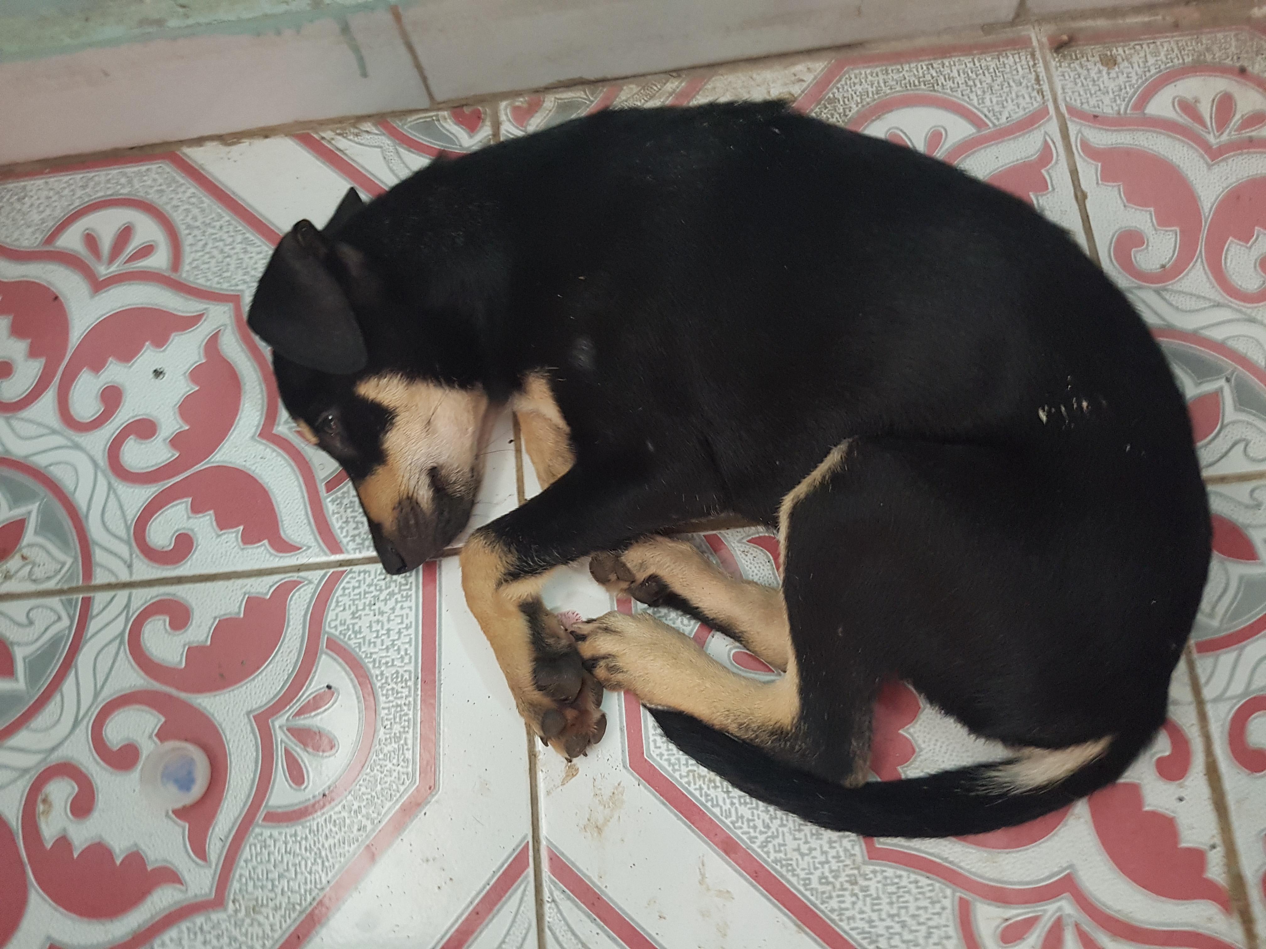 Question details sensitive content