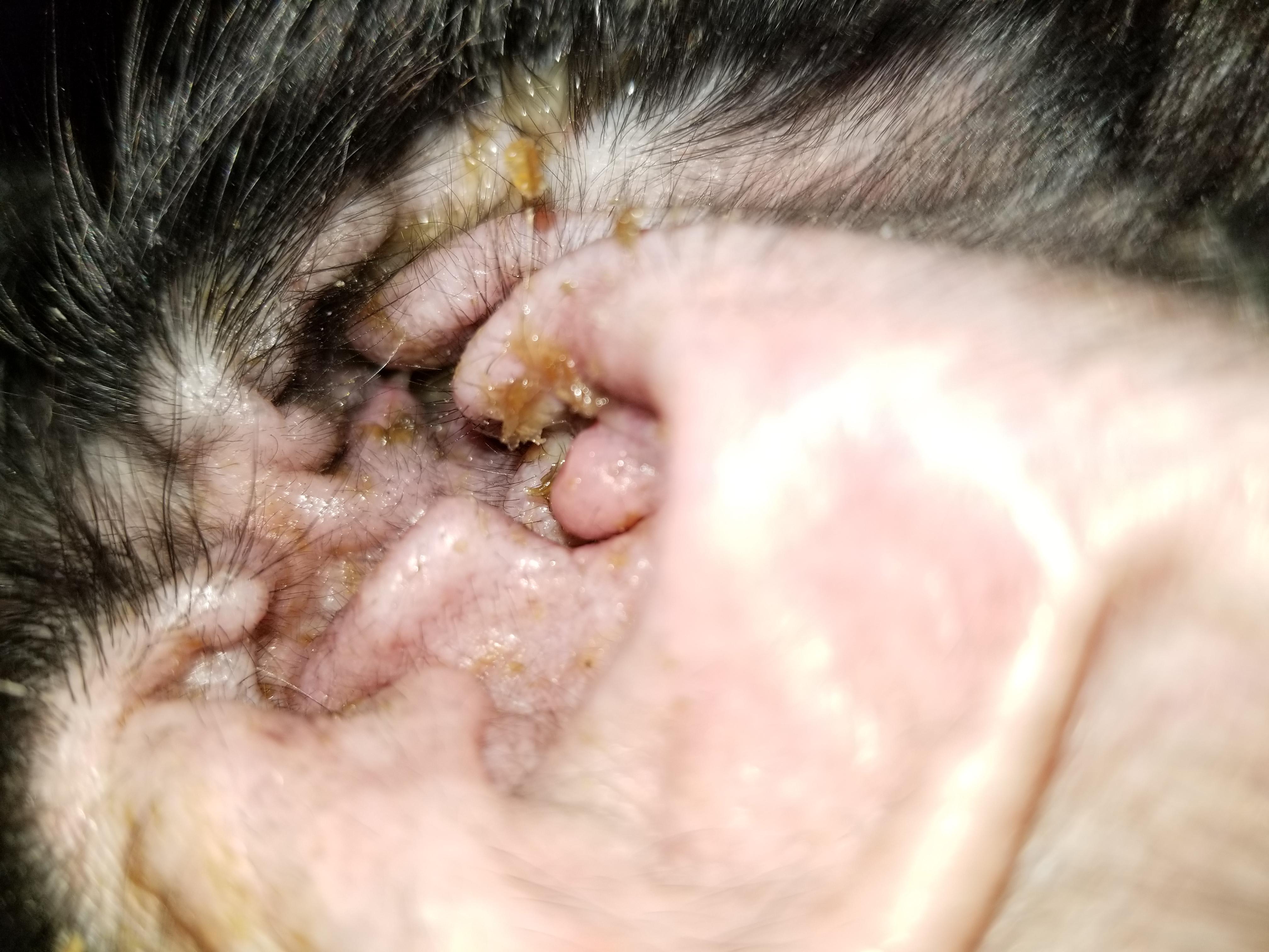 Question details sensitive content