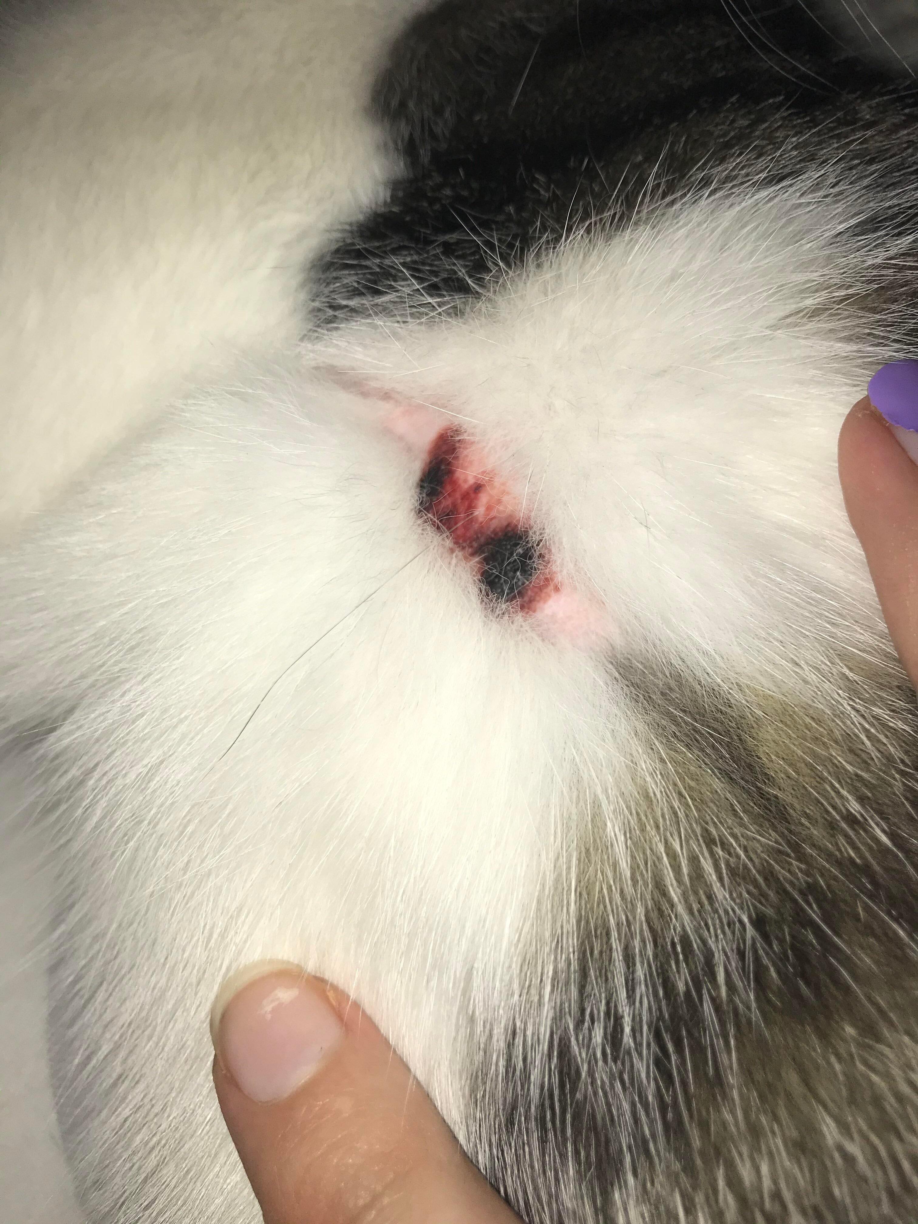 Question details sensitive content