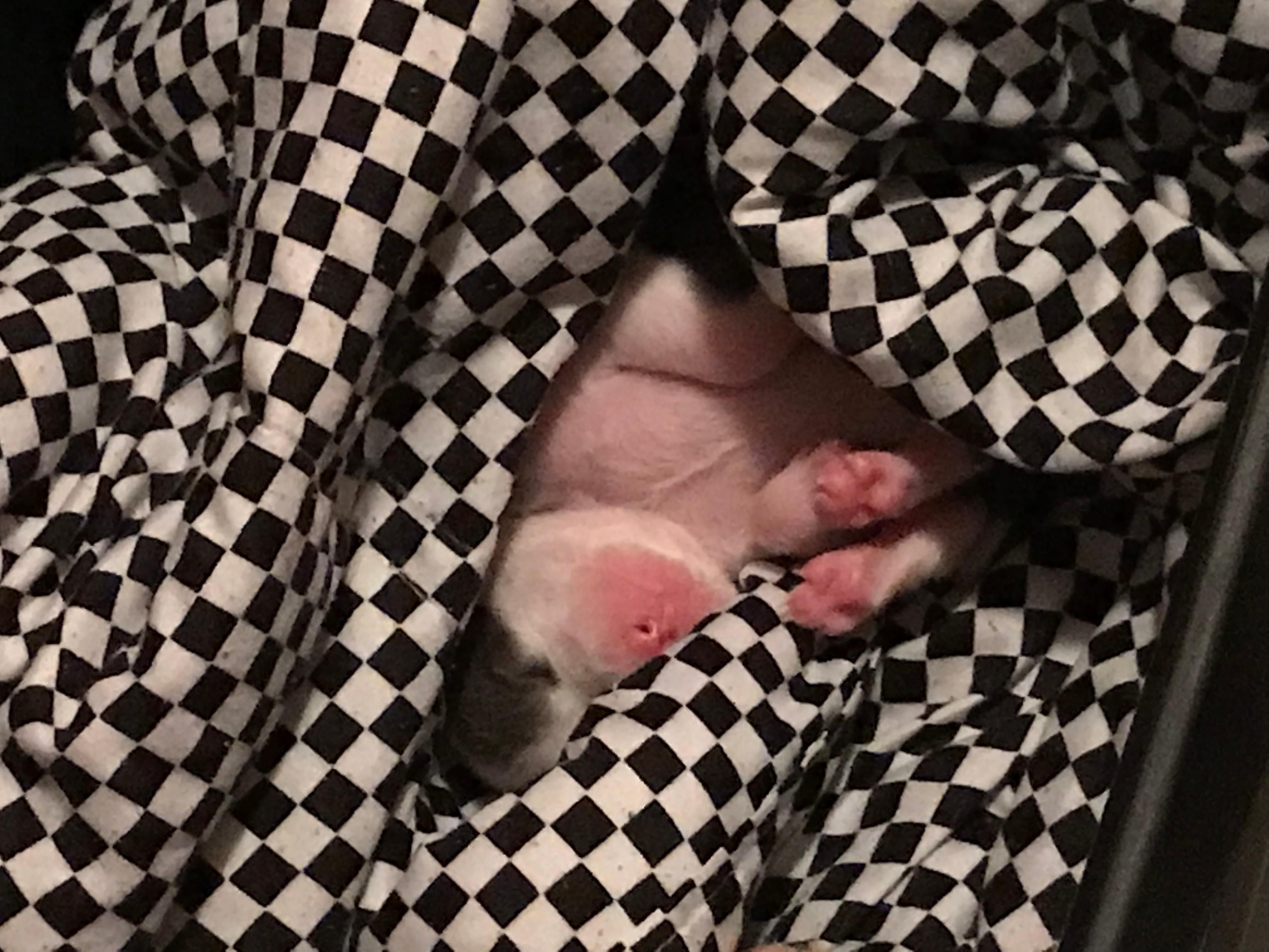 Question details sensitive content