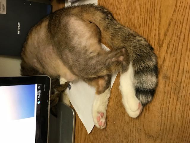 Question details sensitive content