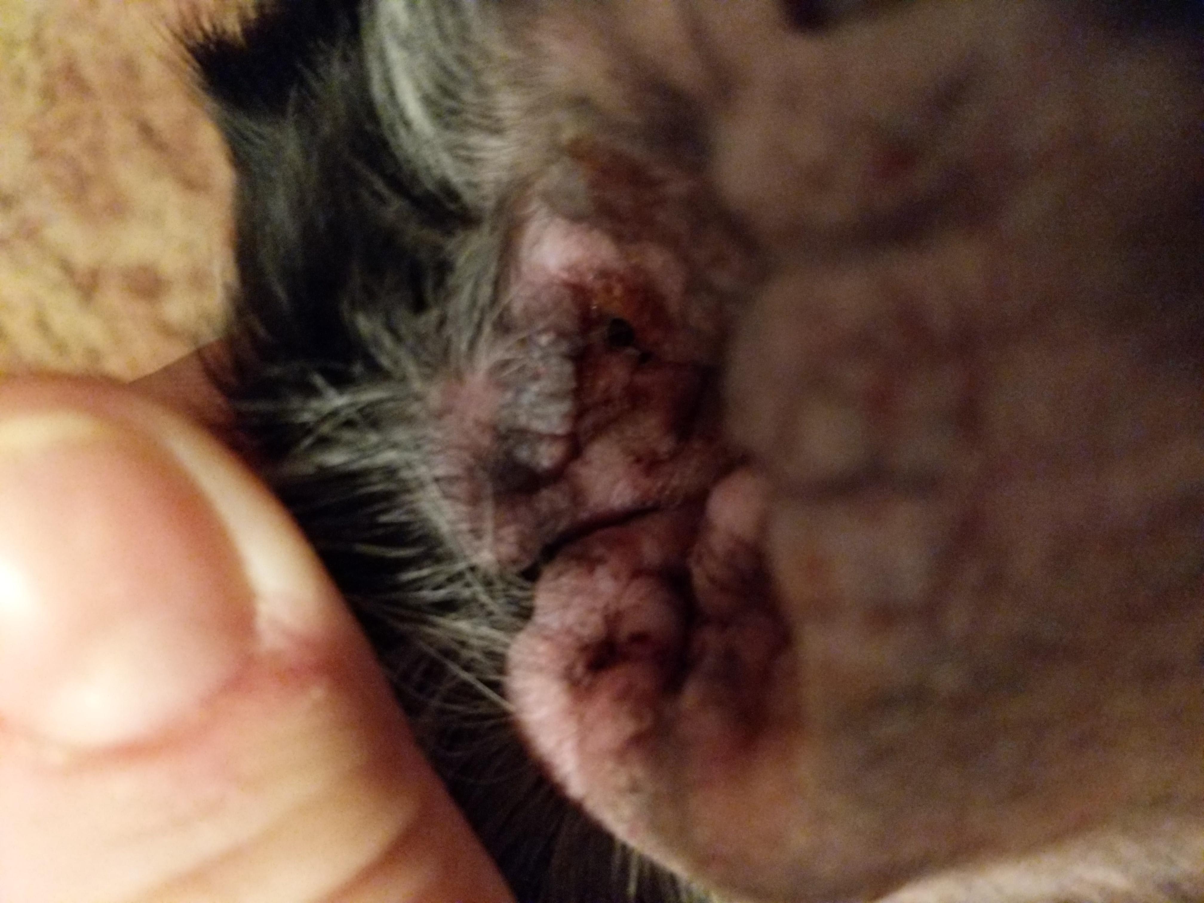 Question details sensitive content