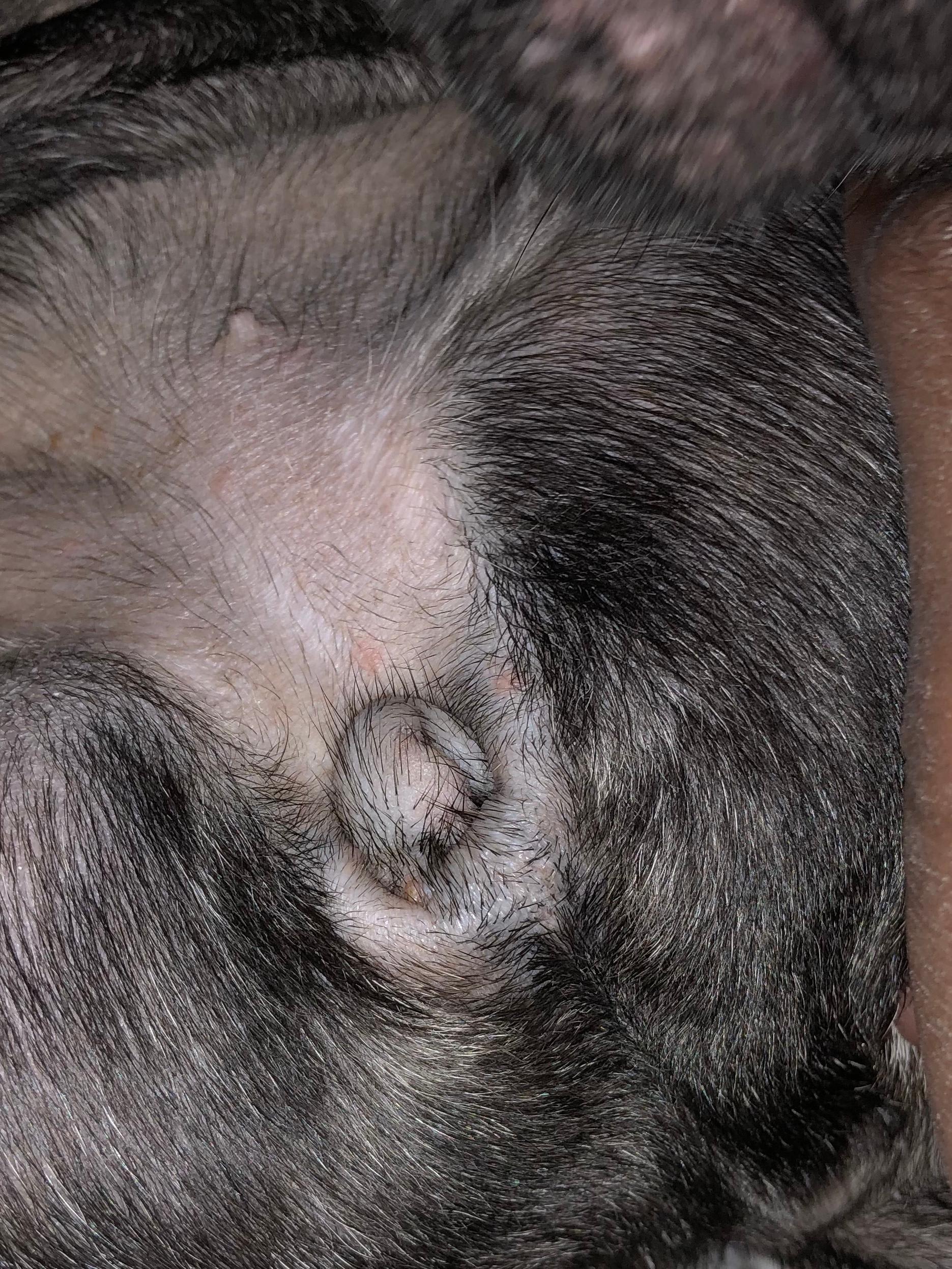 Question details sensitive content