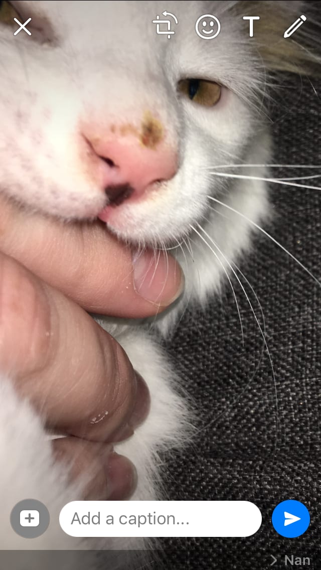 Question details sensitive content