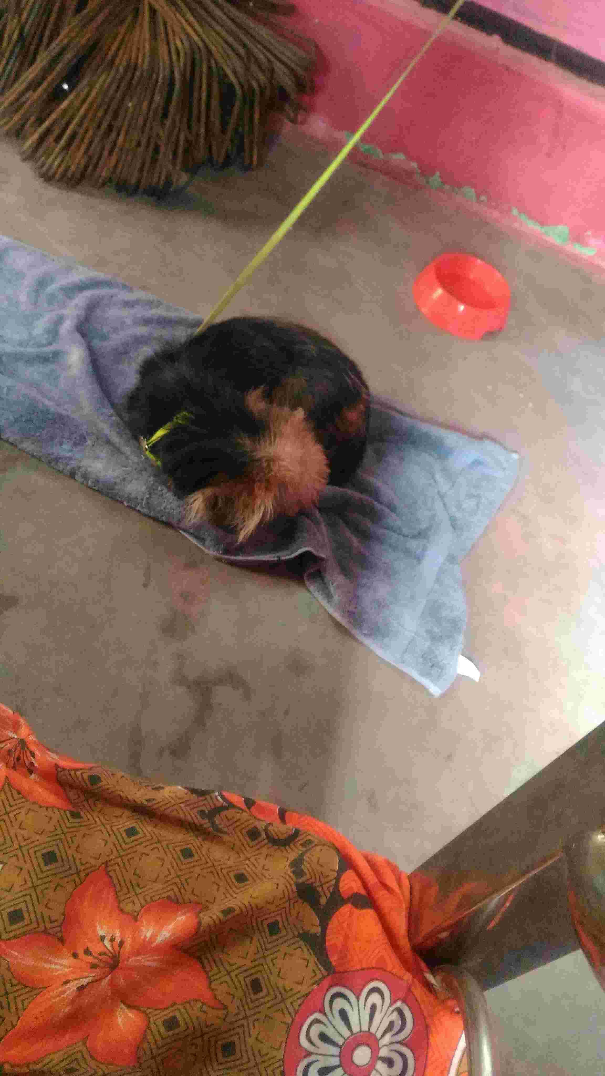 Question details sensitive content