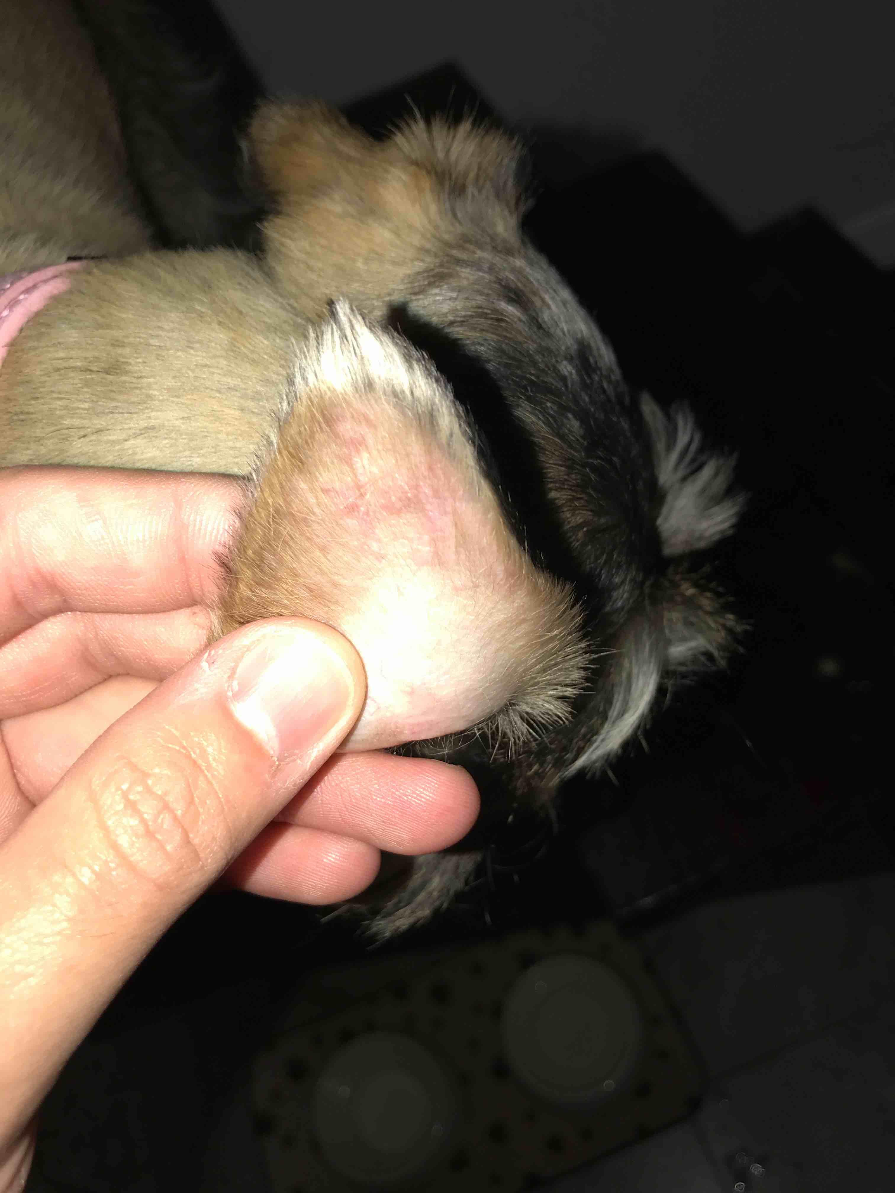 Question details sensitive content