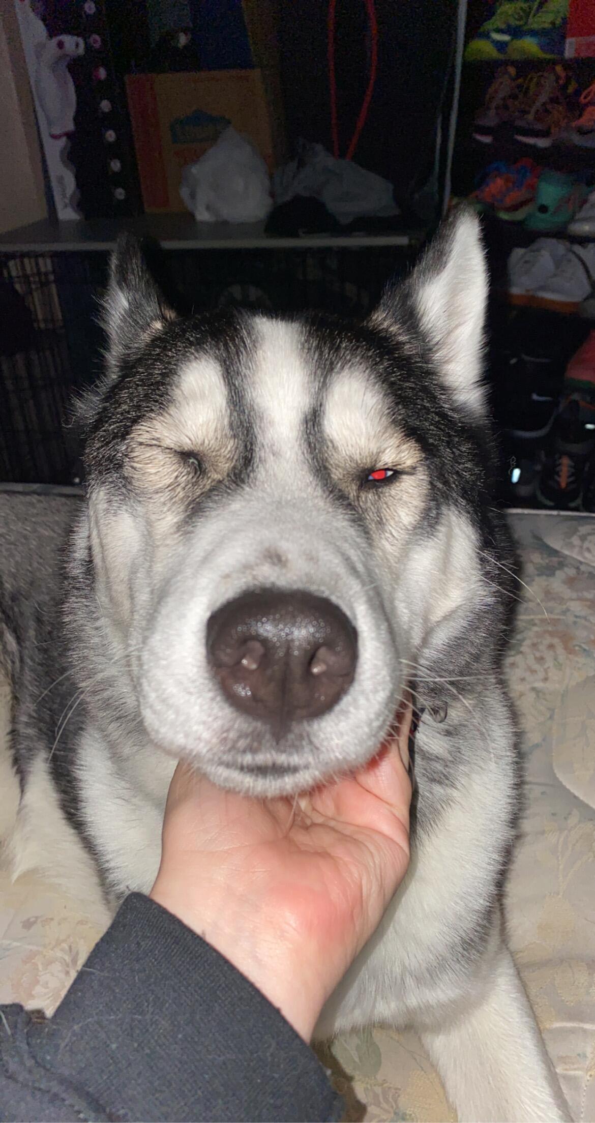 Question details sensitive content