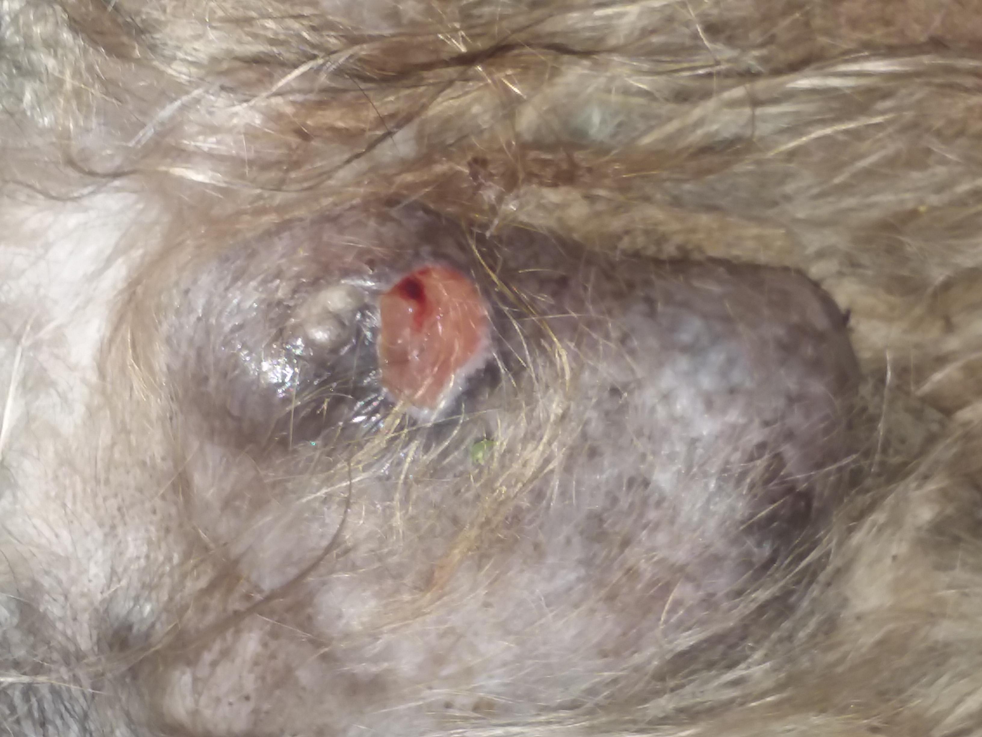 Question details sensitive content