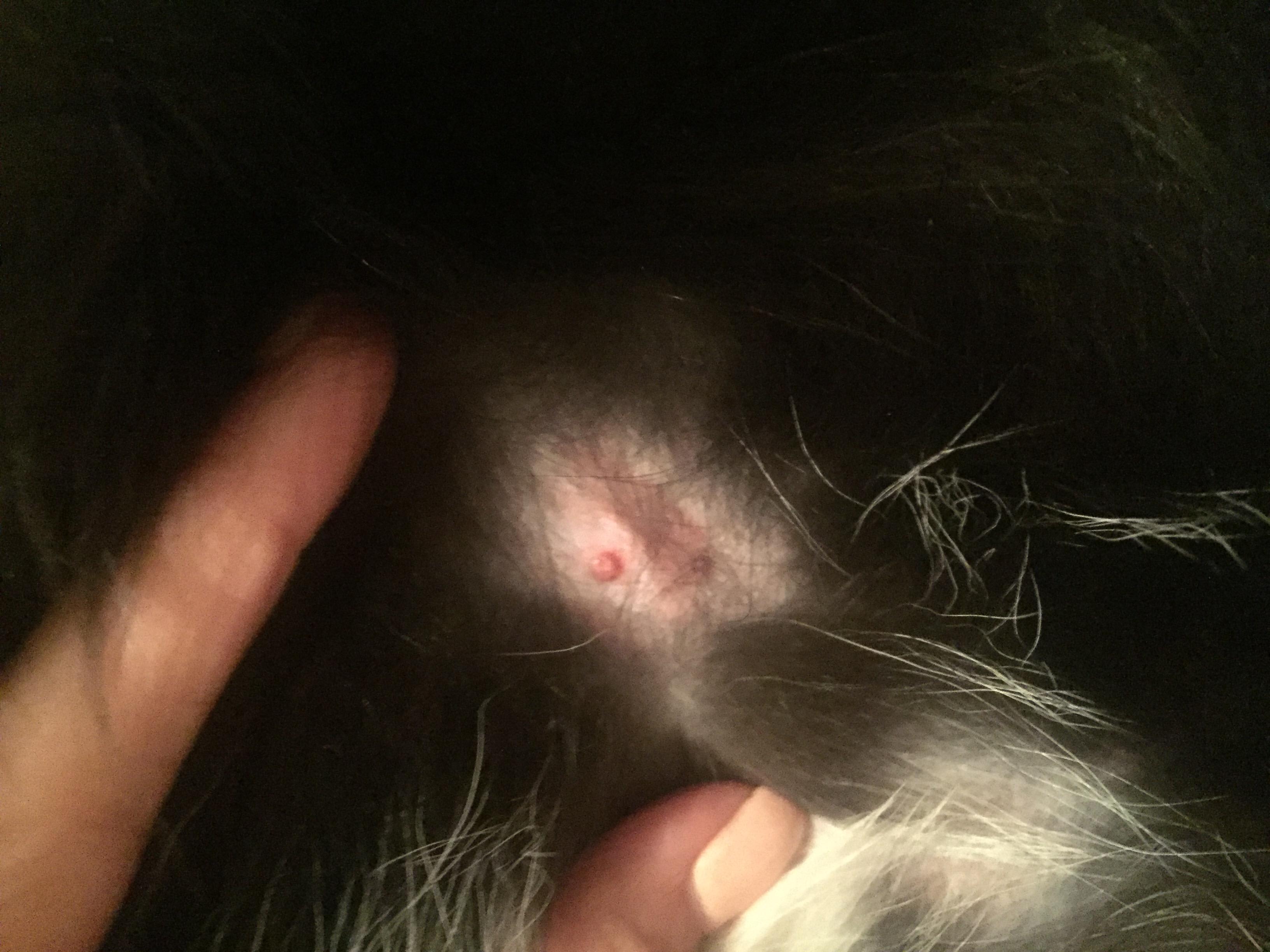 Question details sensitive content