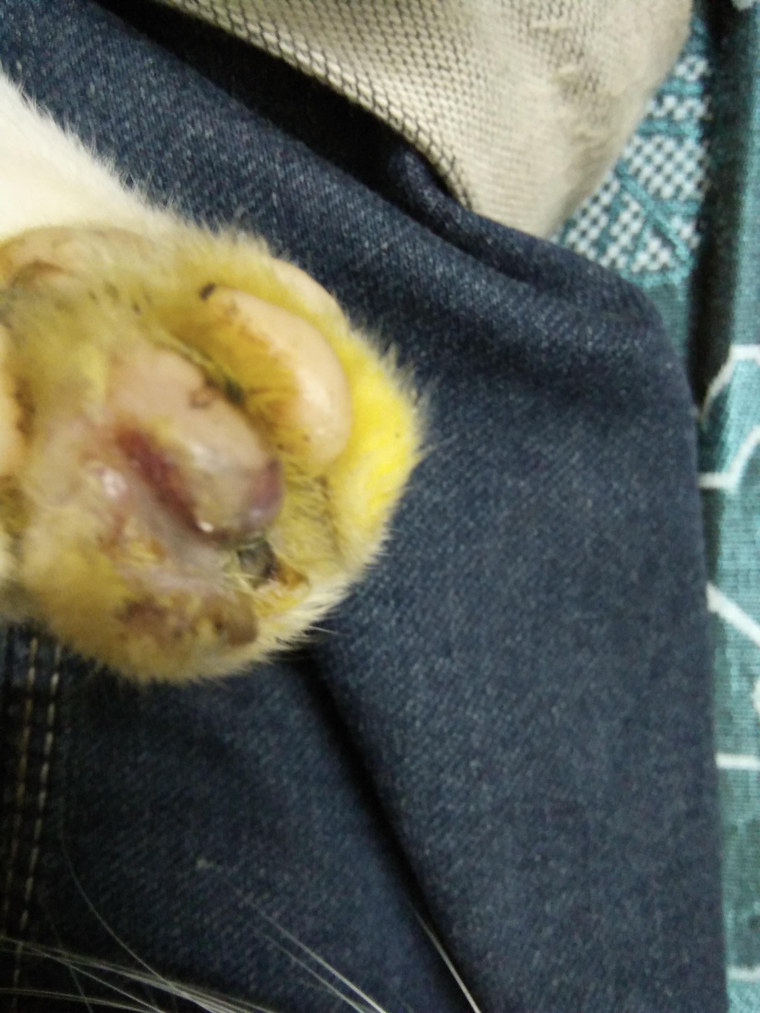 Question details sensitive content