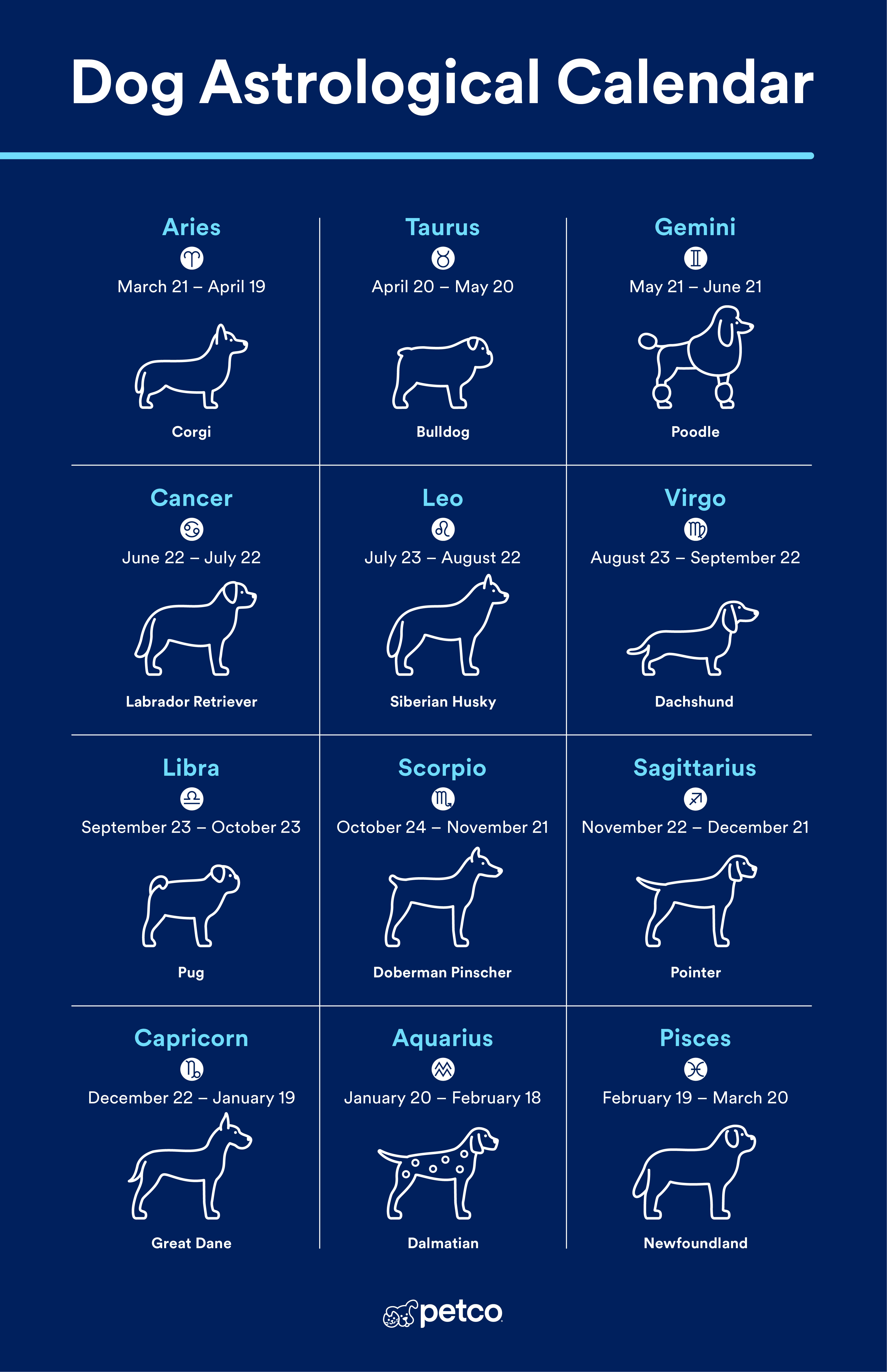 Infographic image