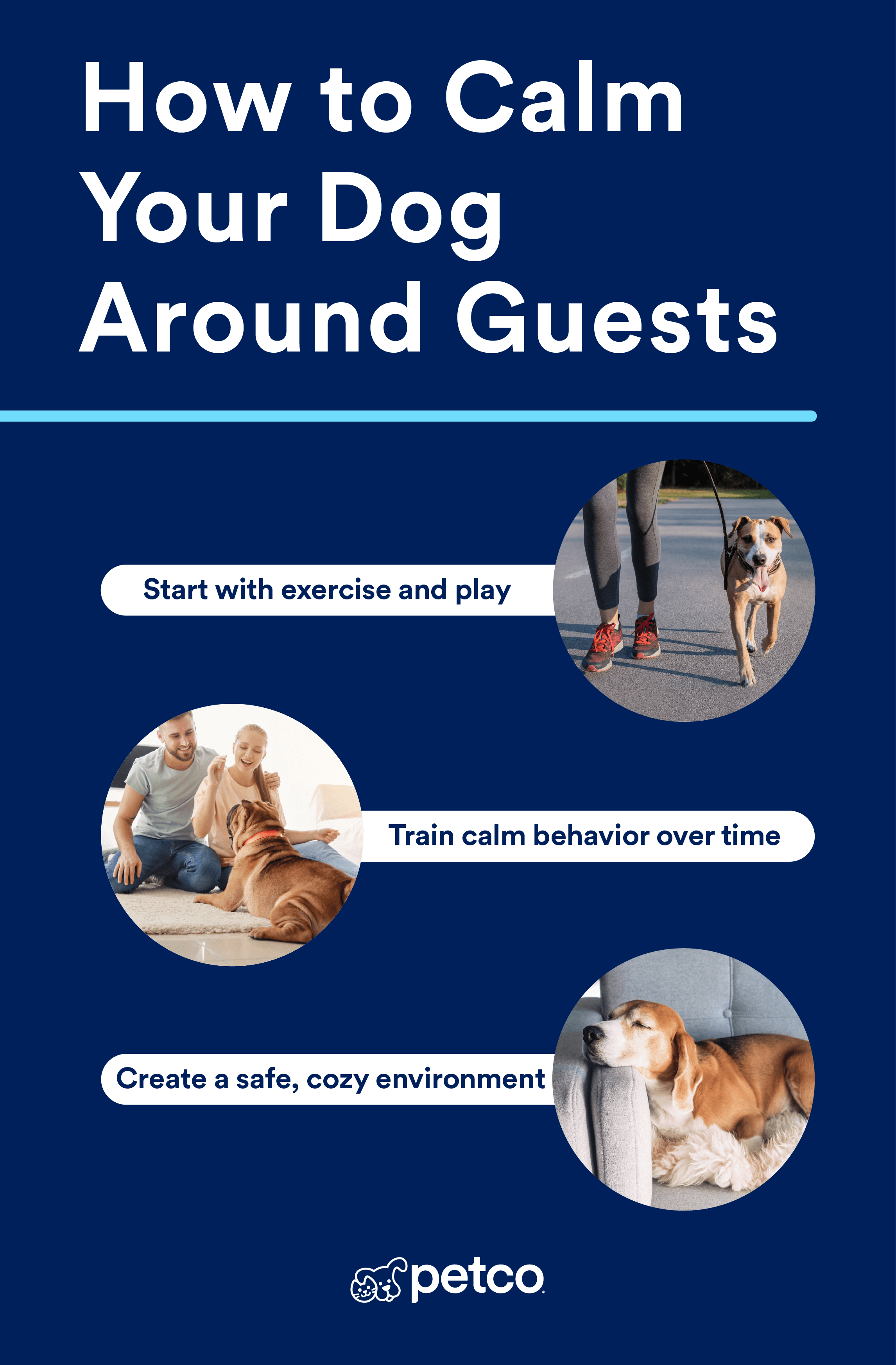 Infographic image