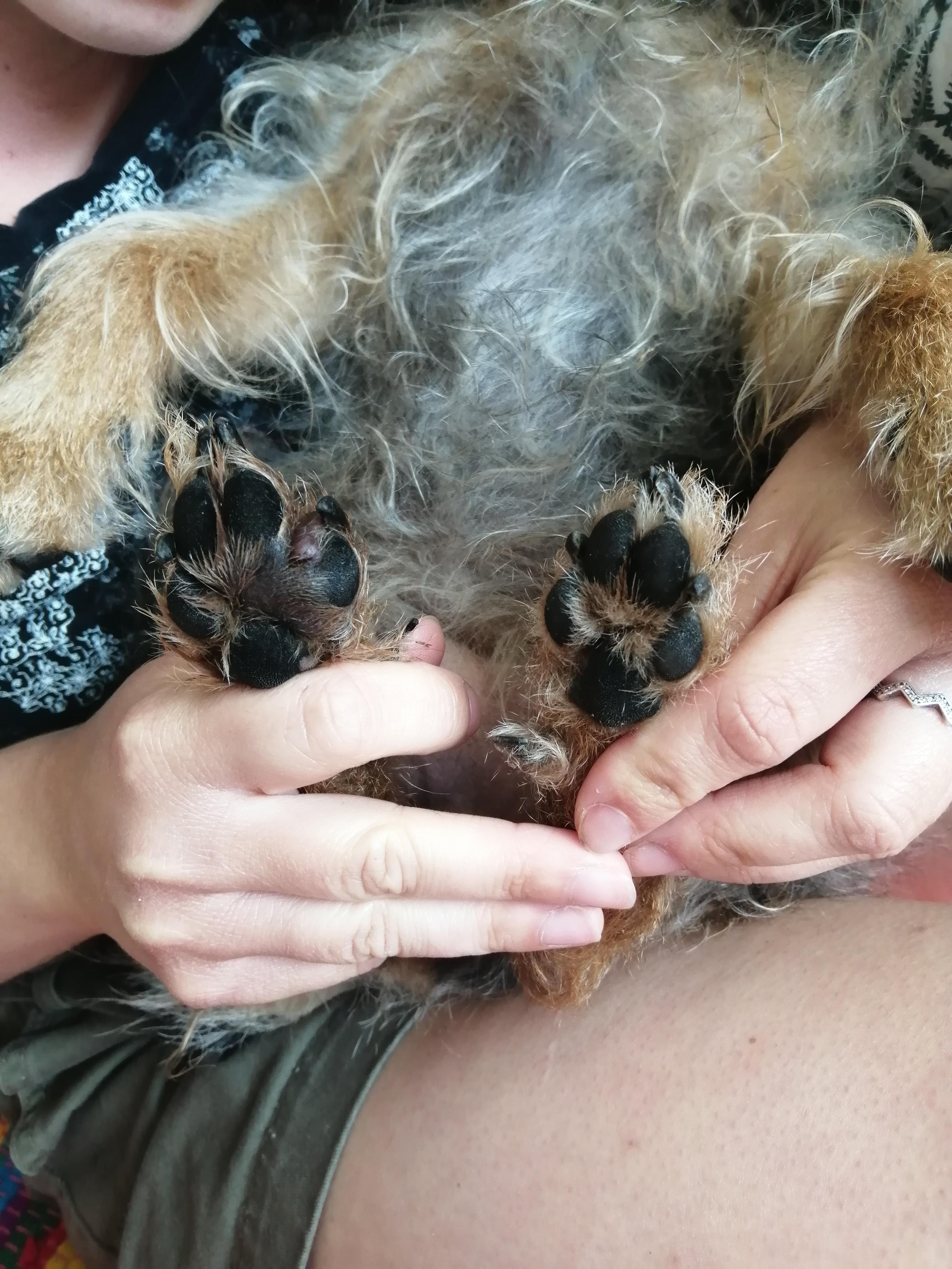 Question details sensitive content