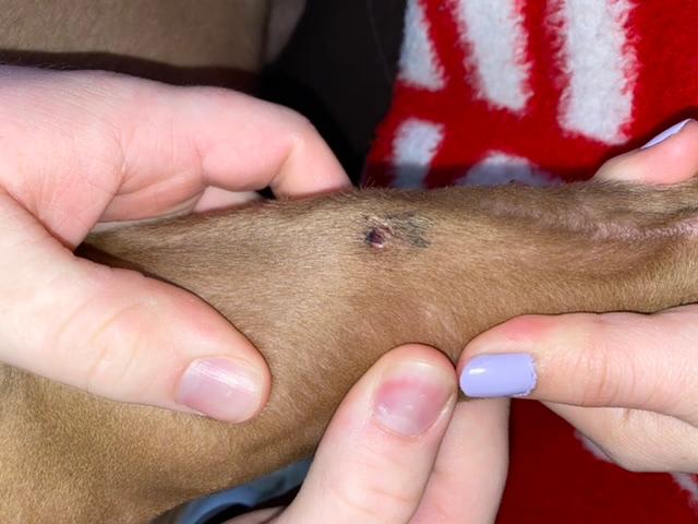 Question details sensitive content