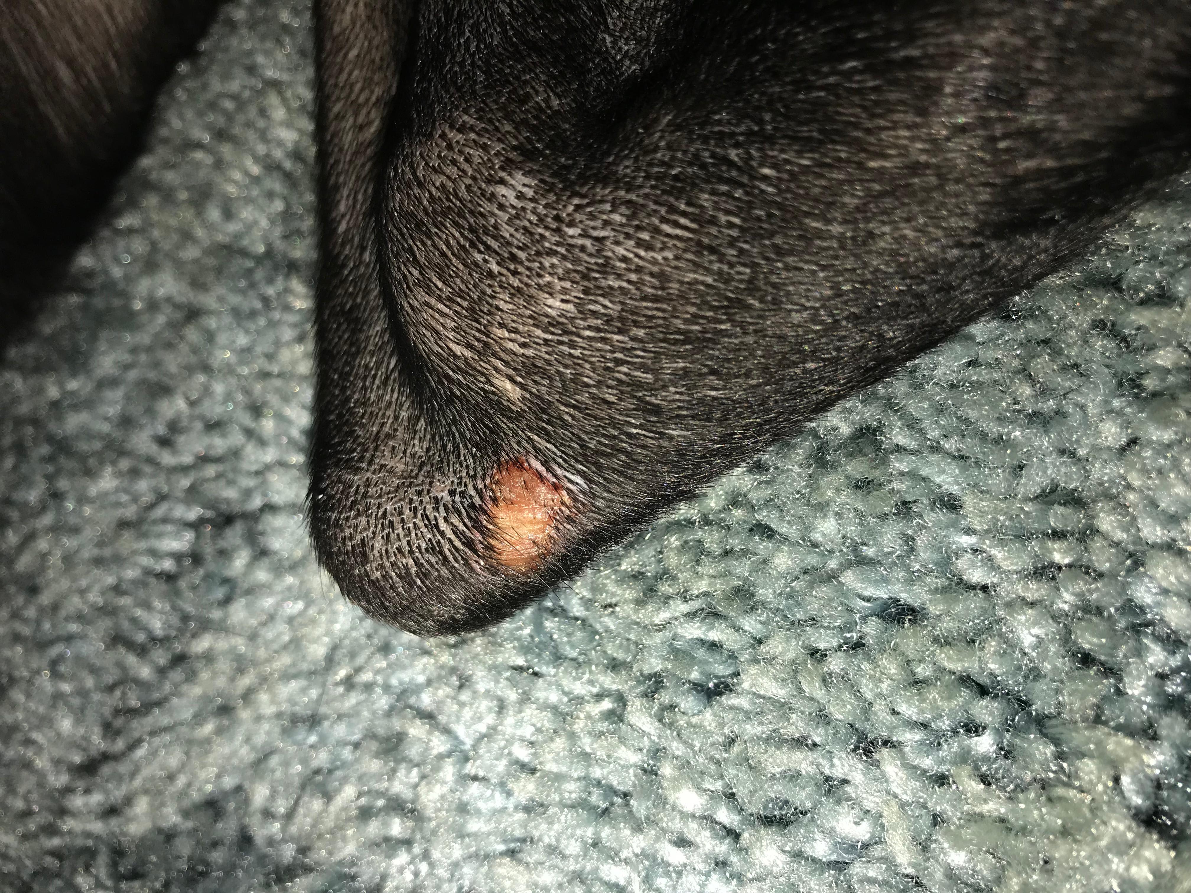 Question details sensitive content