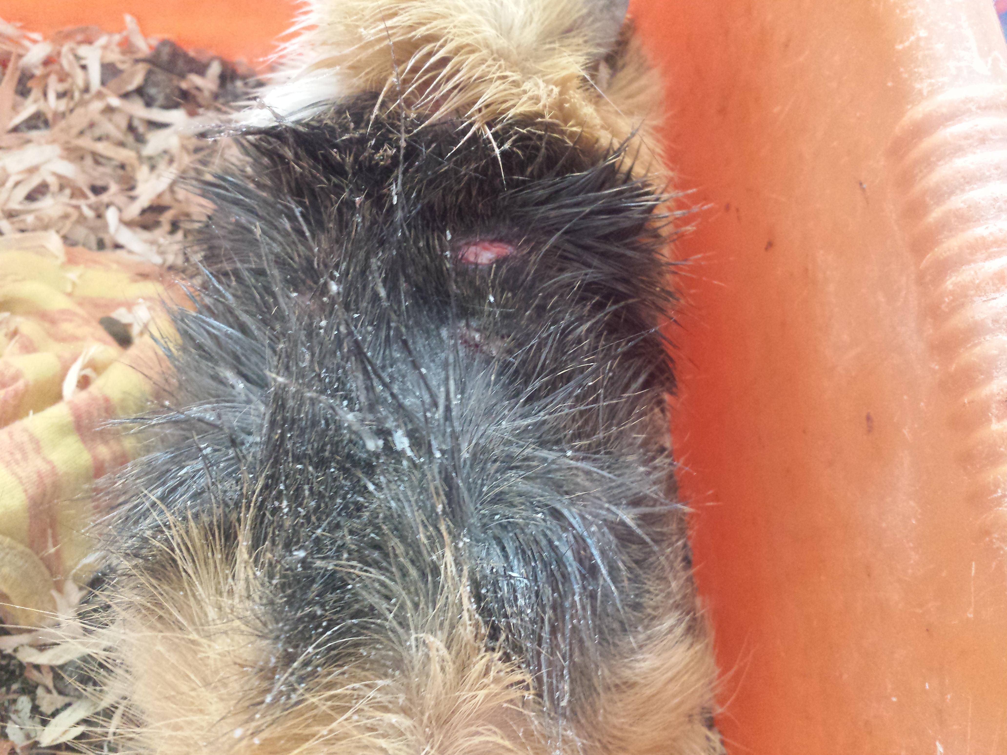 Question details sensitive content