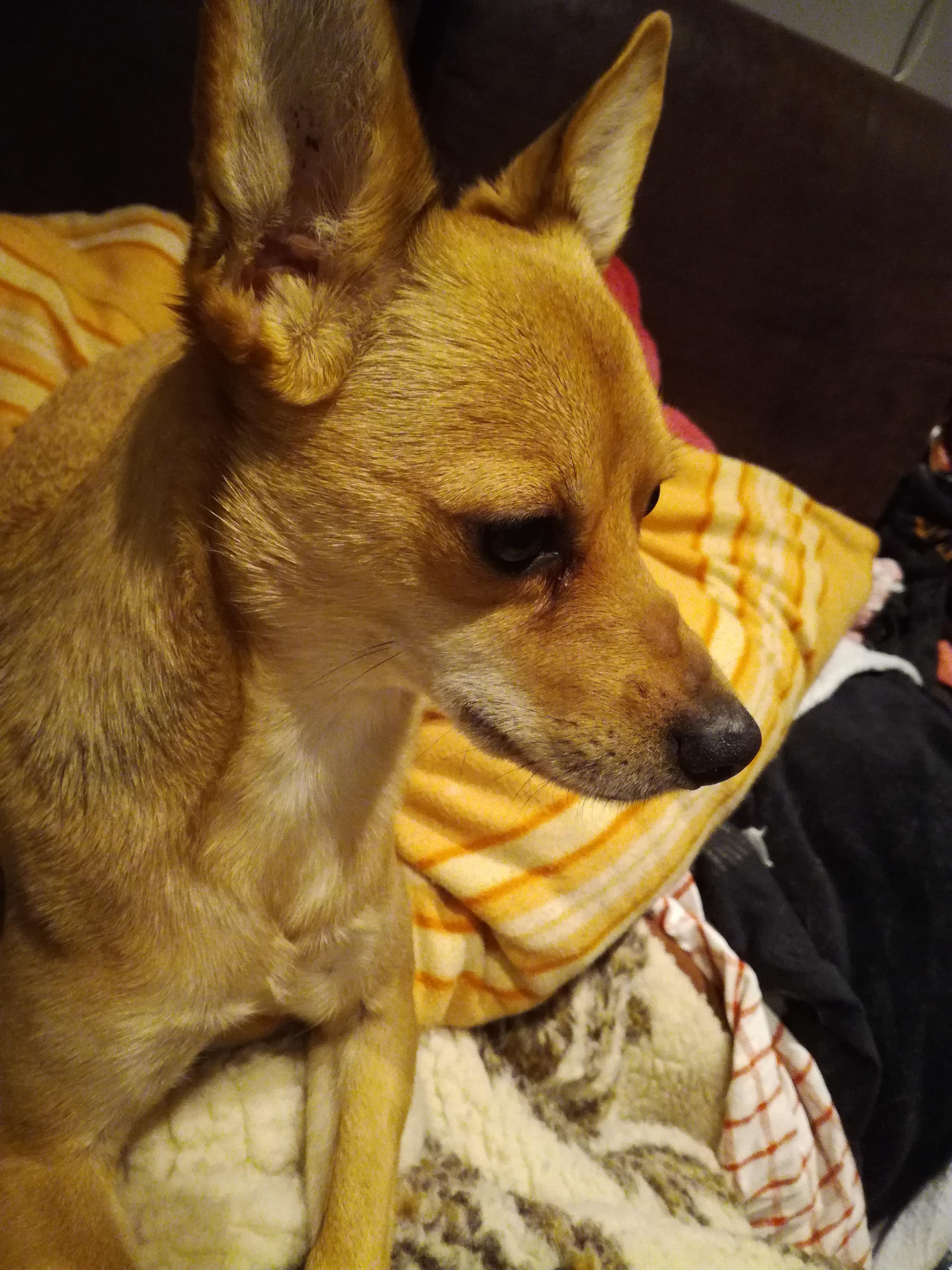 Question details sensitive content