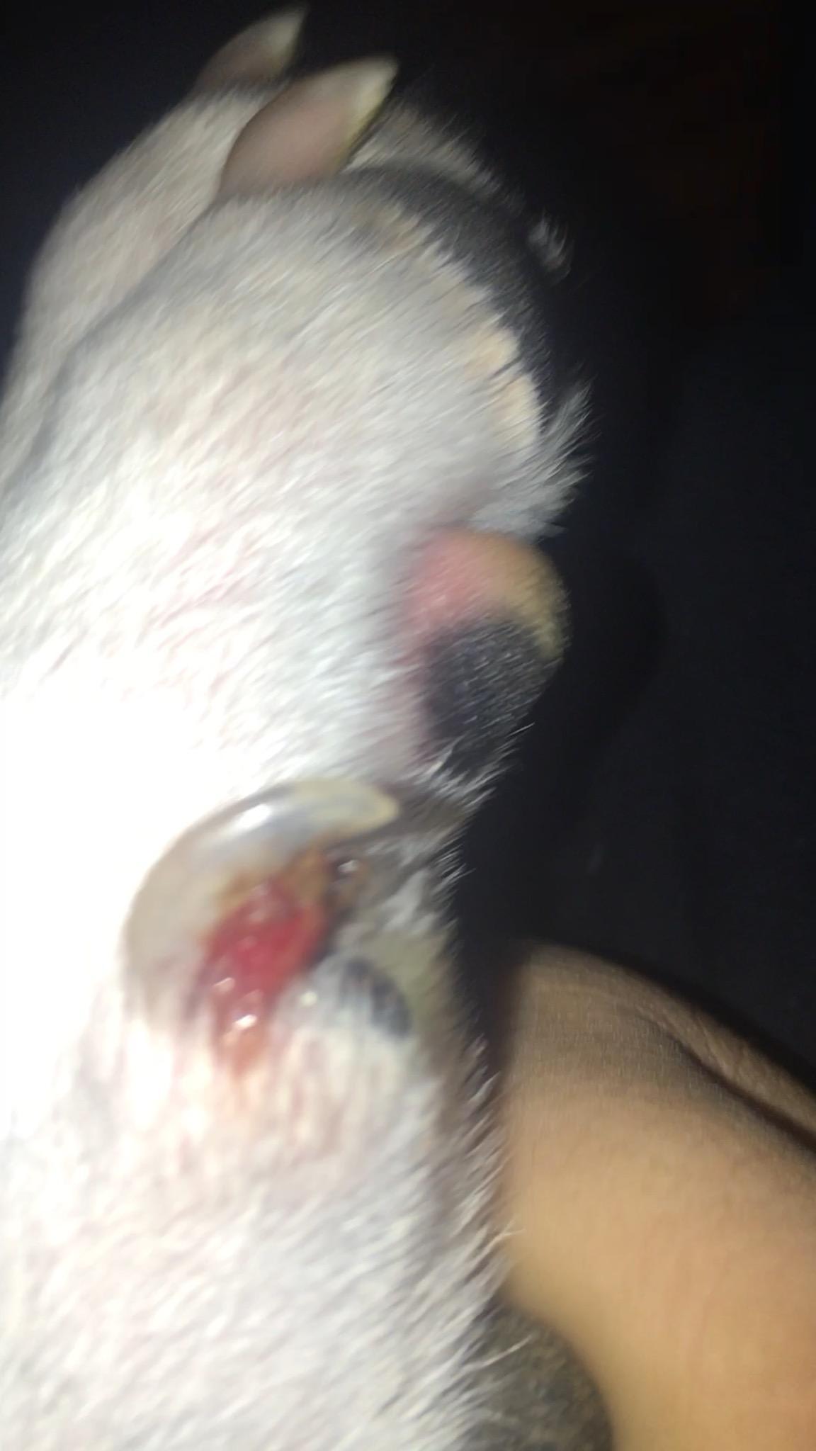 Question details sensitive content