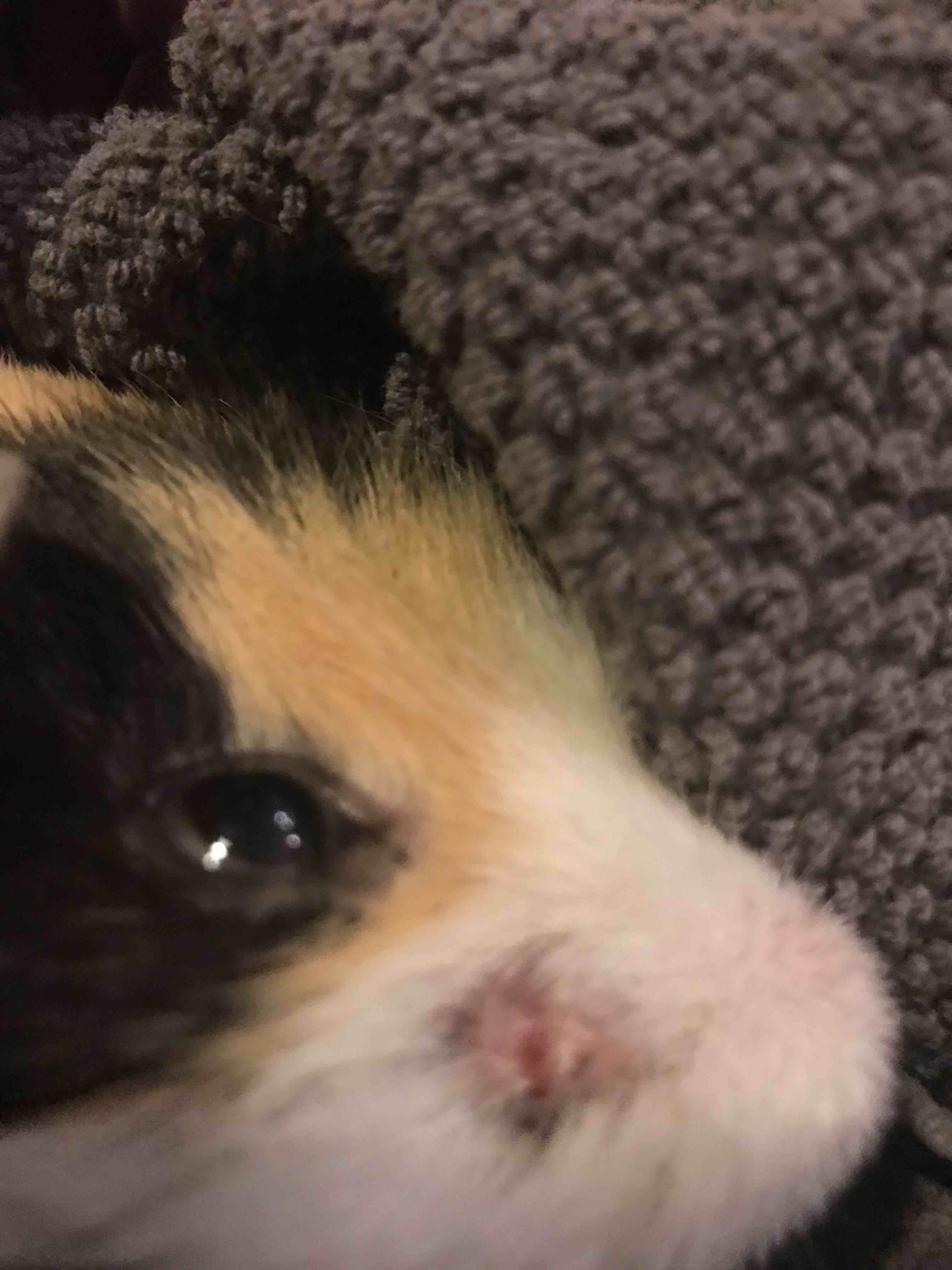 Question details sensitive content