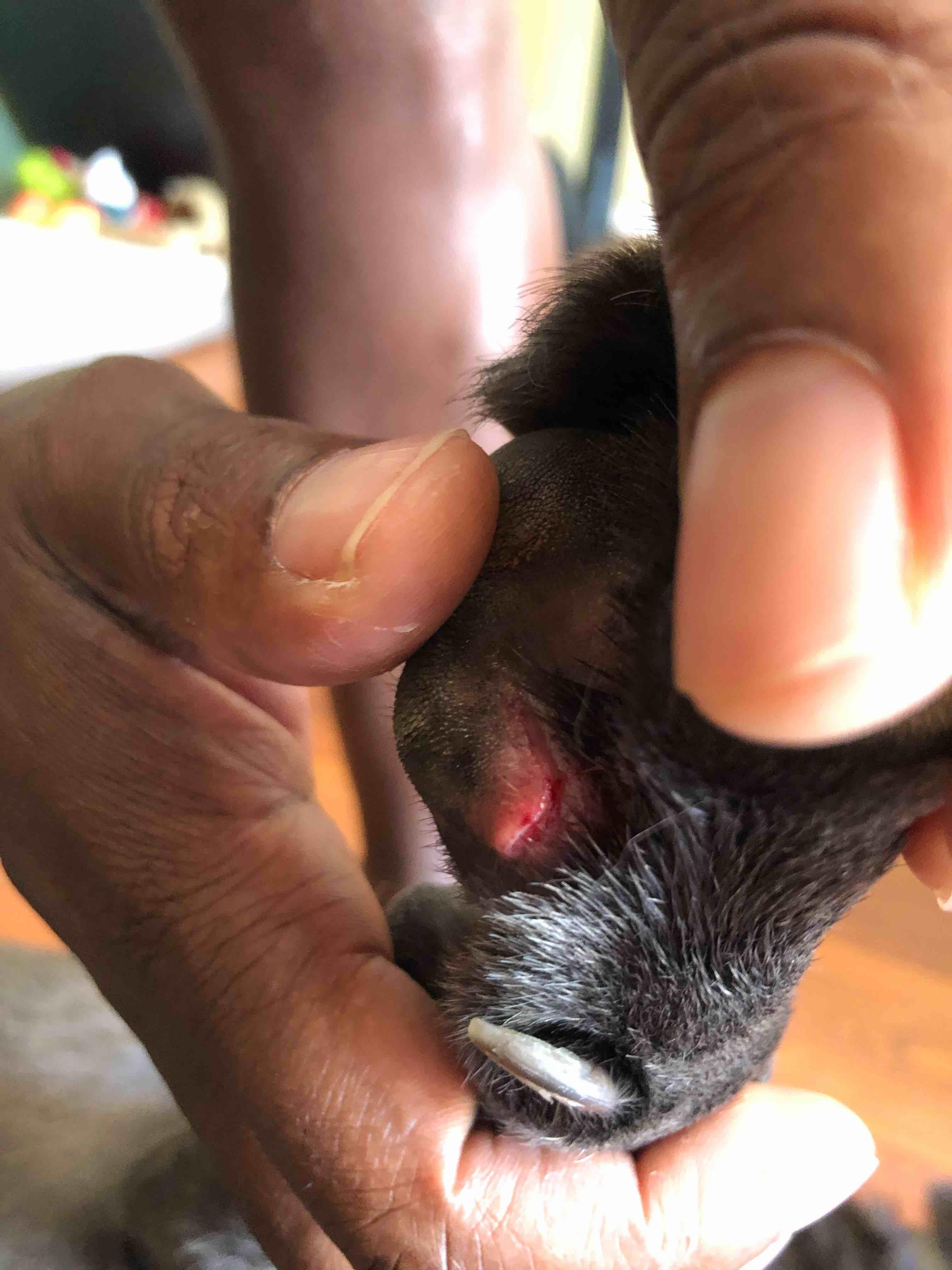 Question details sensitive content