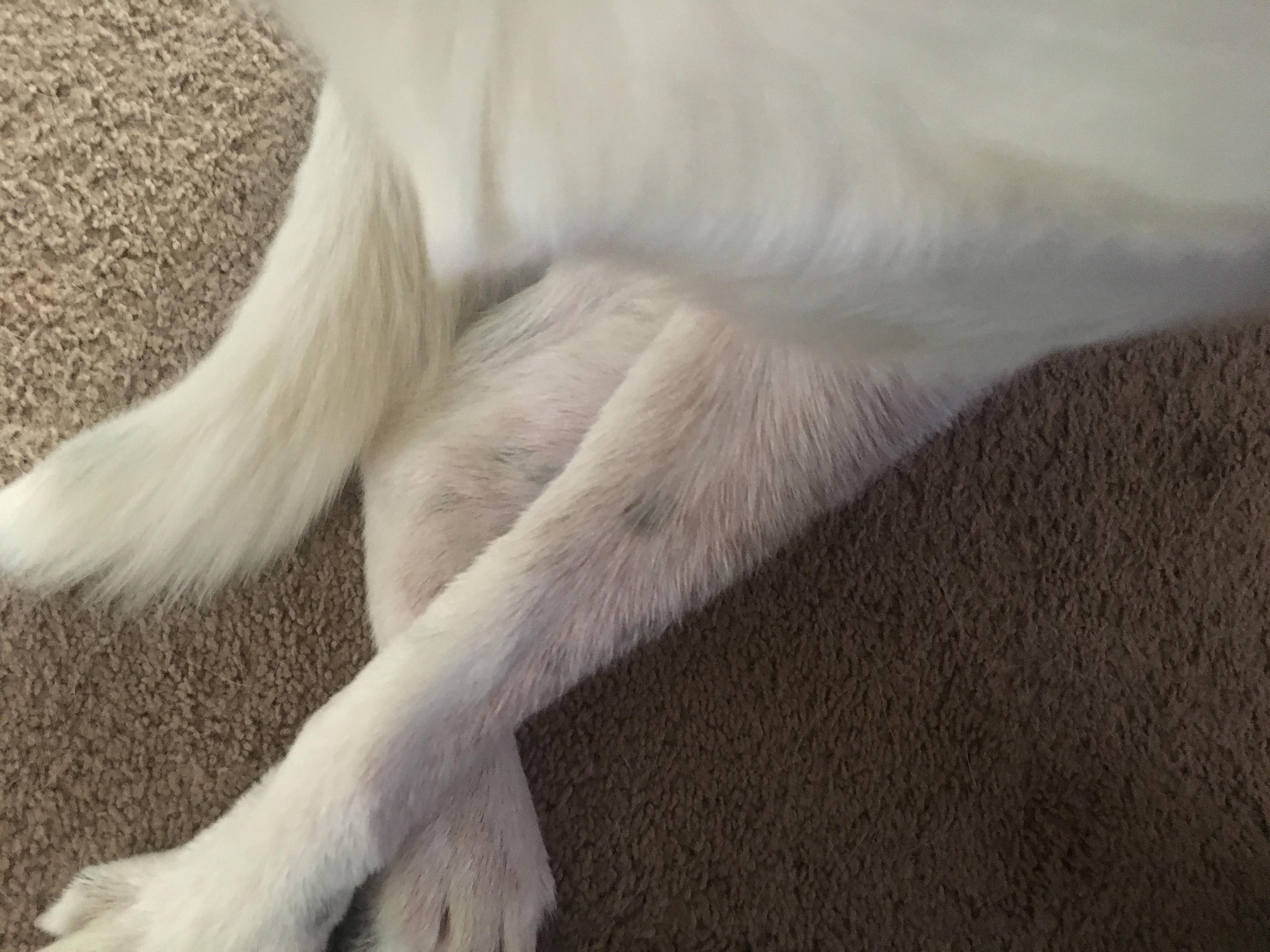 Question details sensitive content