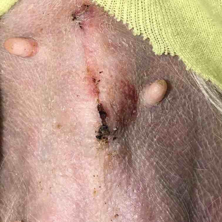 Question details sensitive content