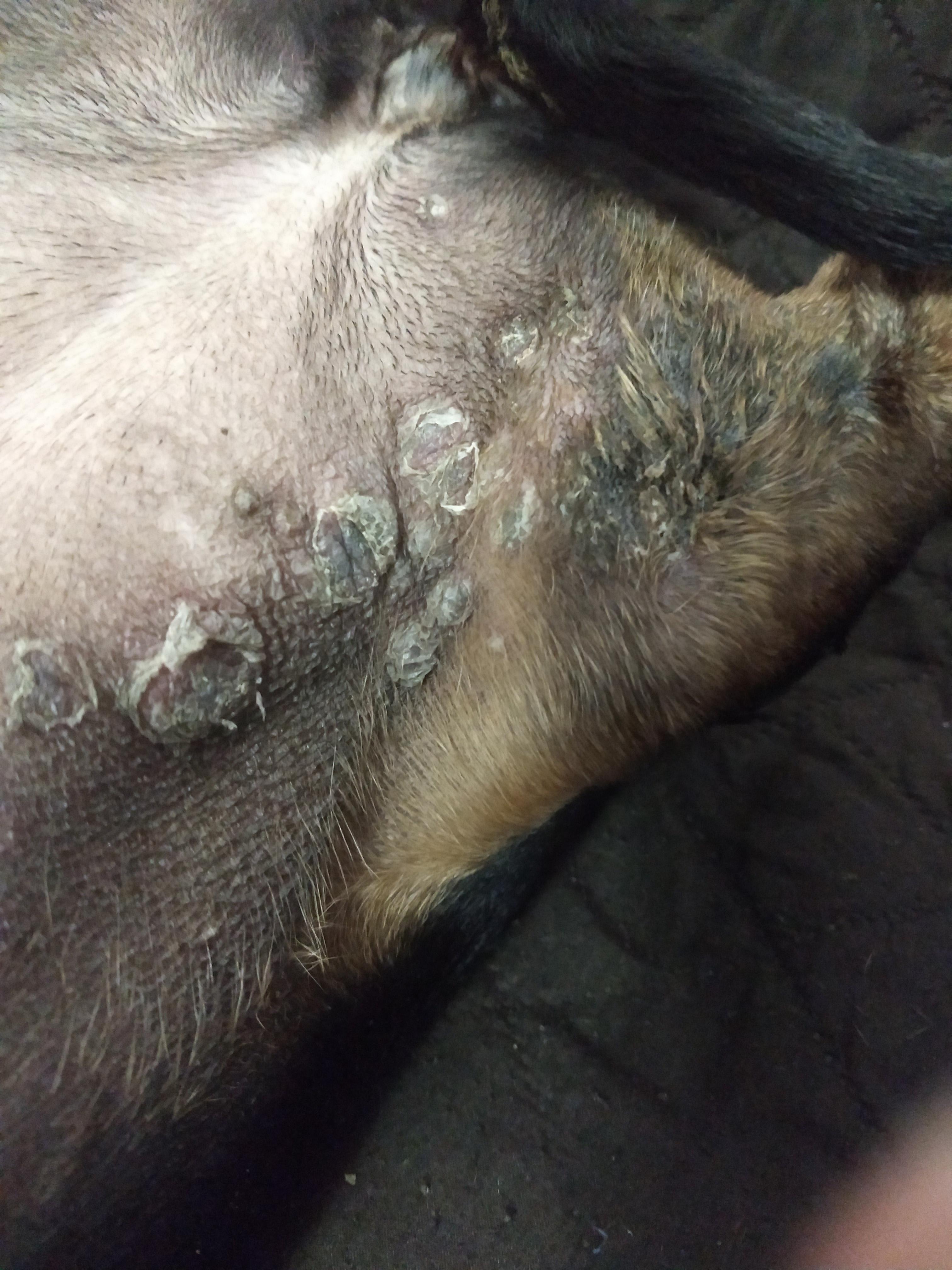 Question details sensitive content