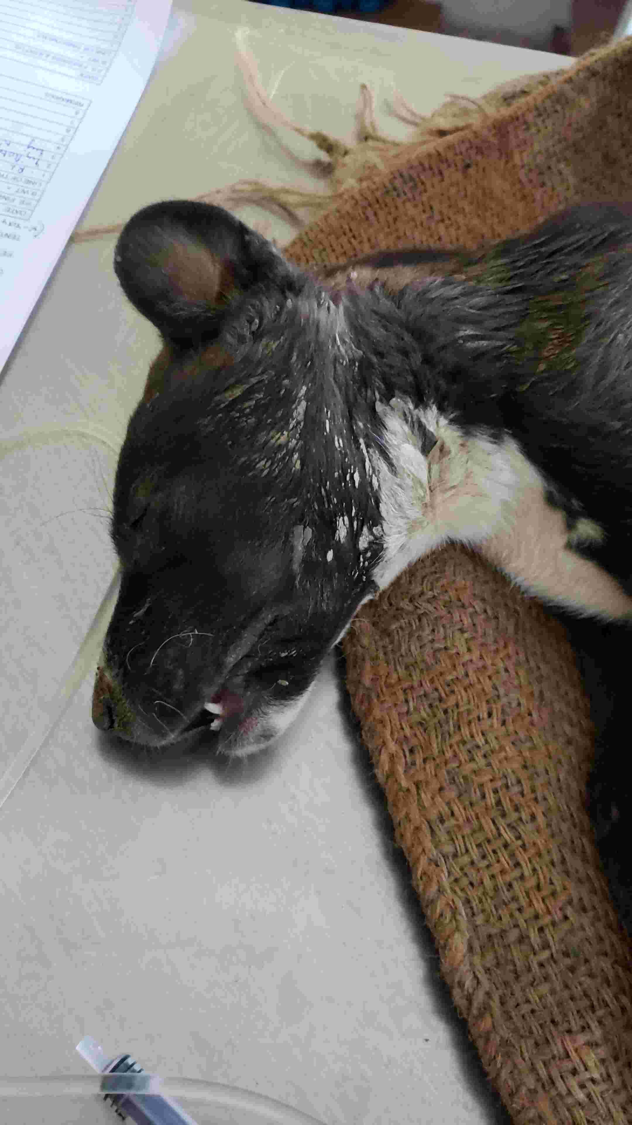 Question details sensitive content