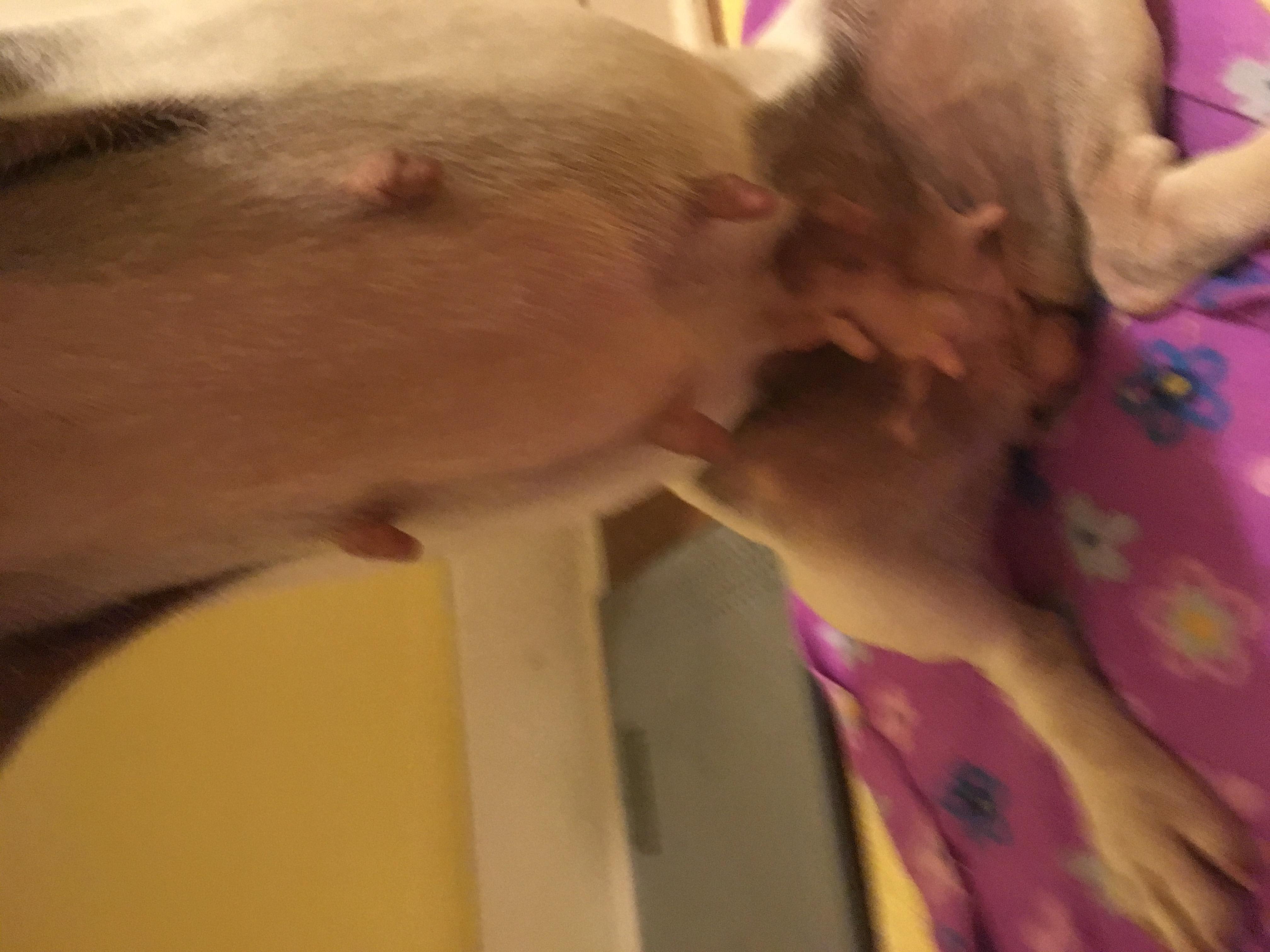 Question details sensitive content