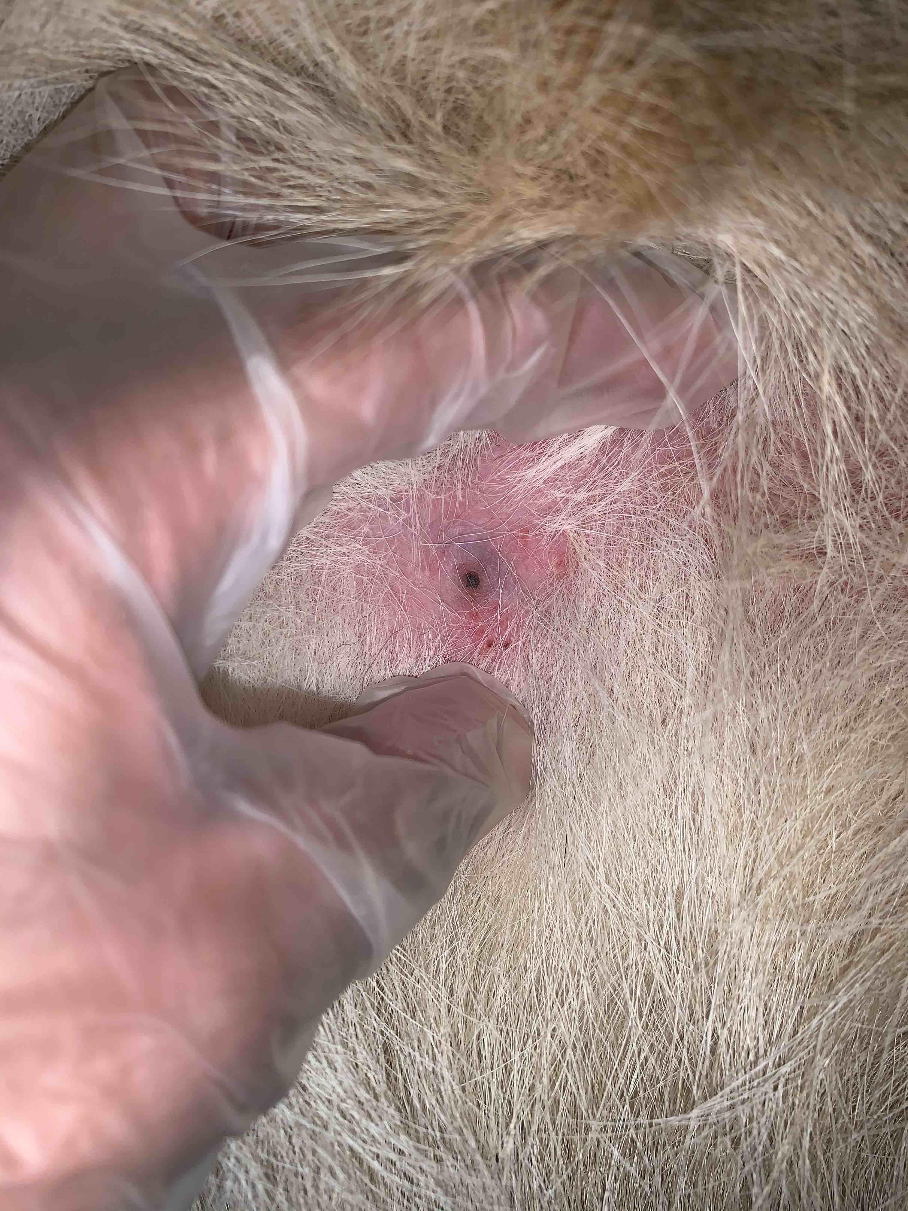 Question details sensitive content