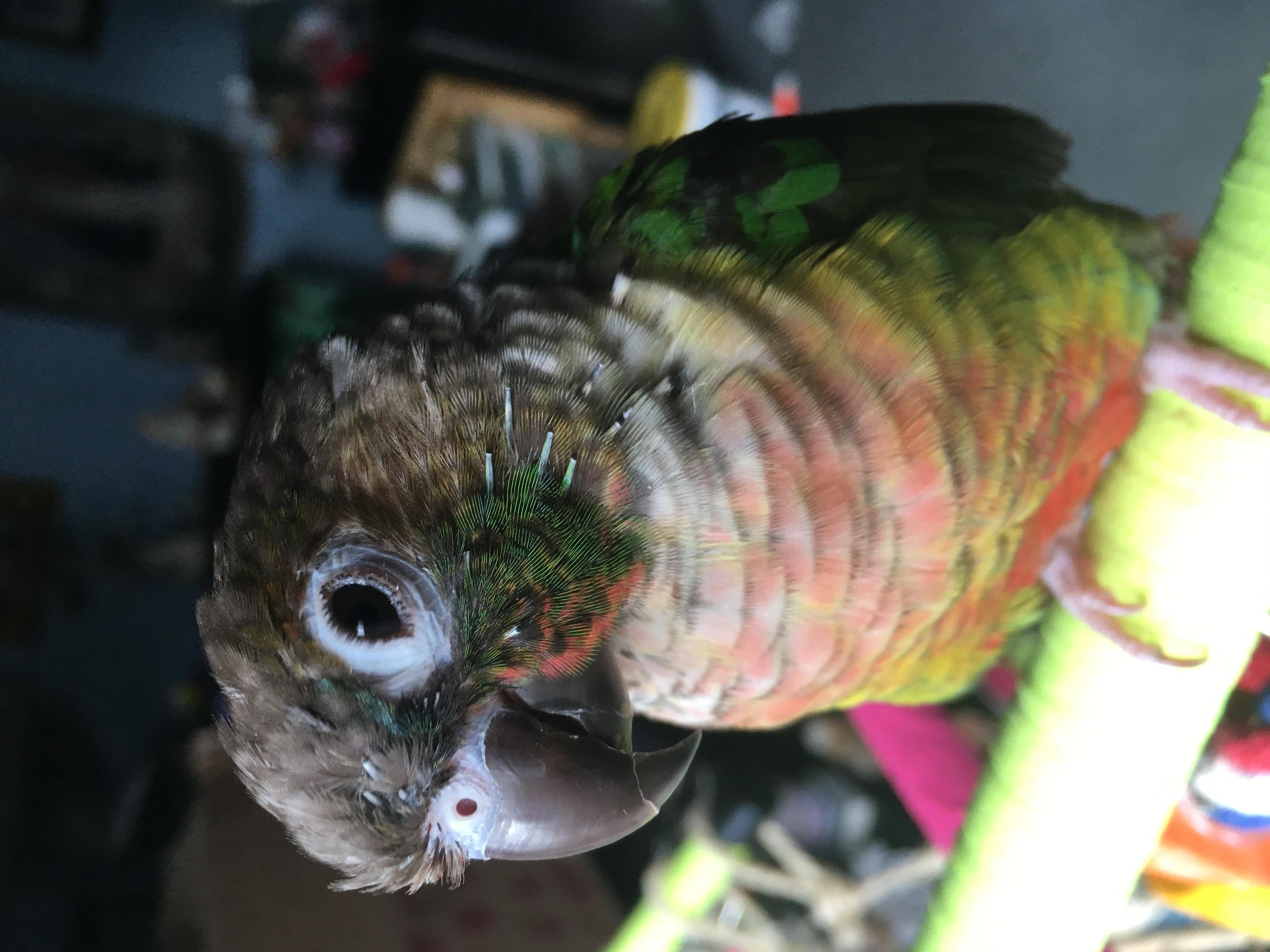 Question details sensitive content