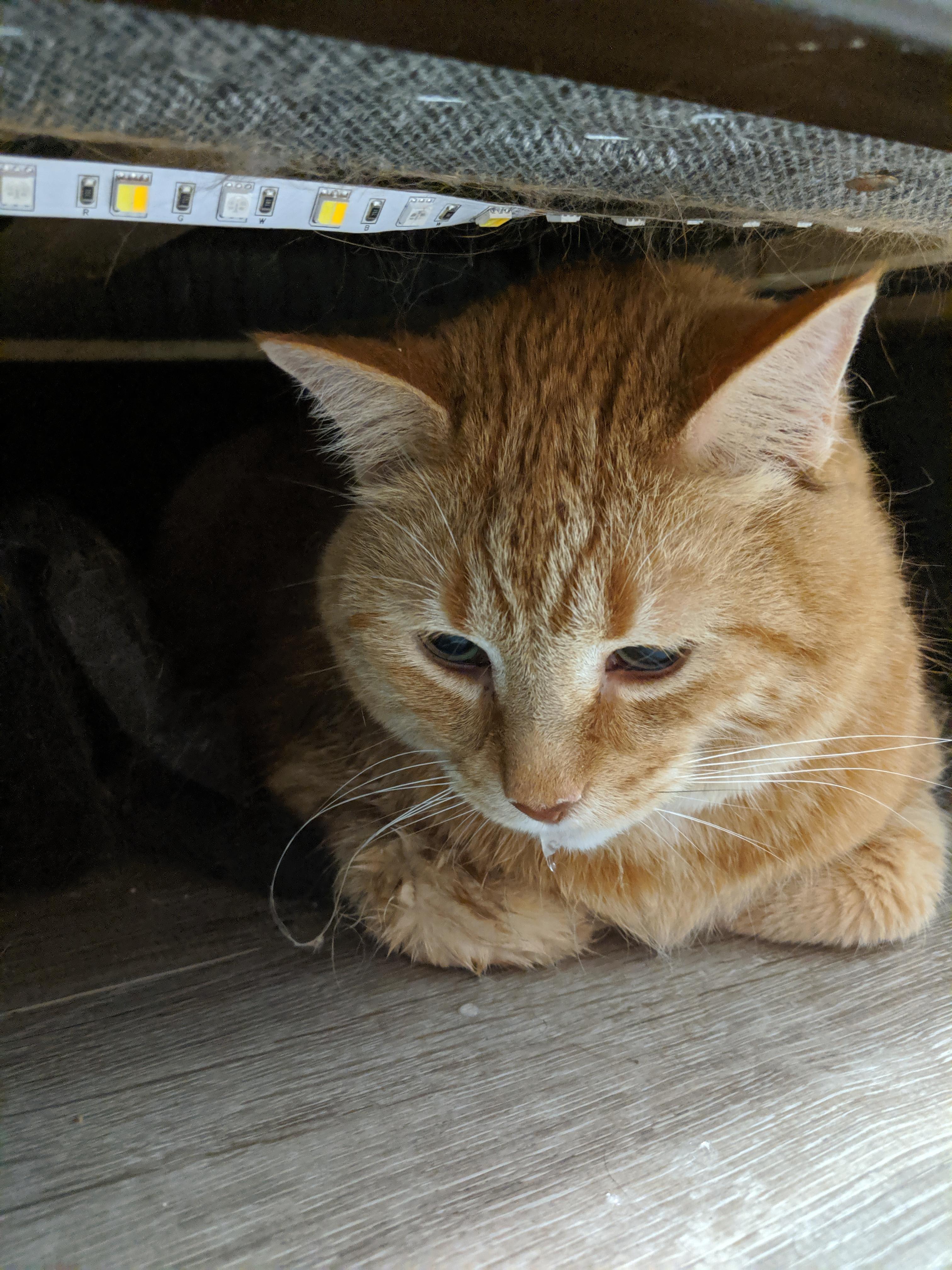 Question details sensitive content