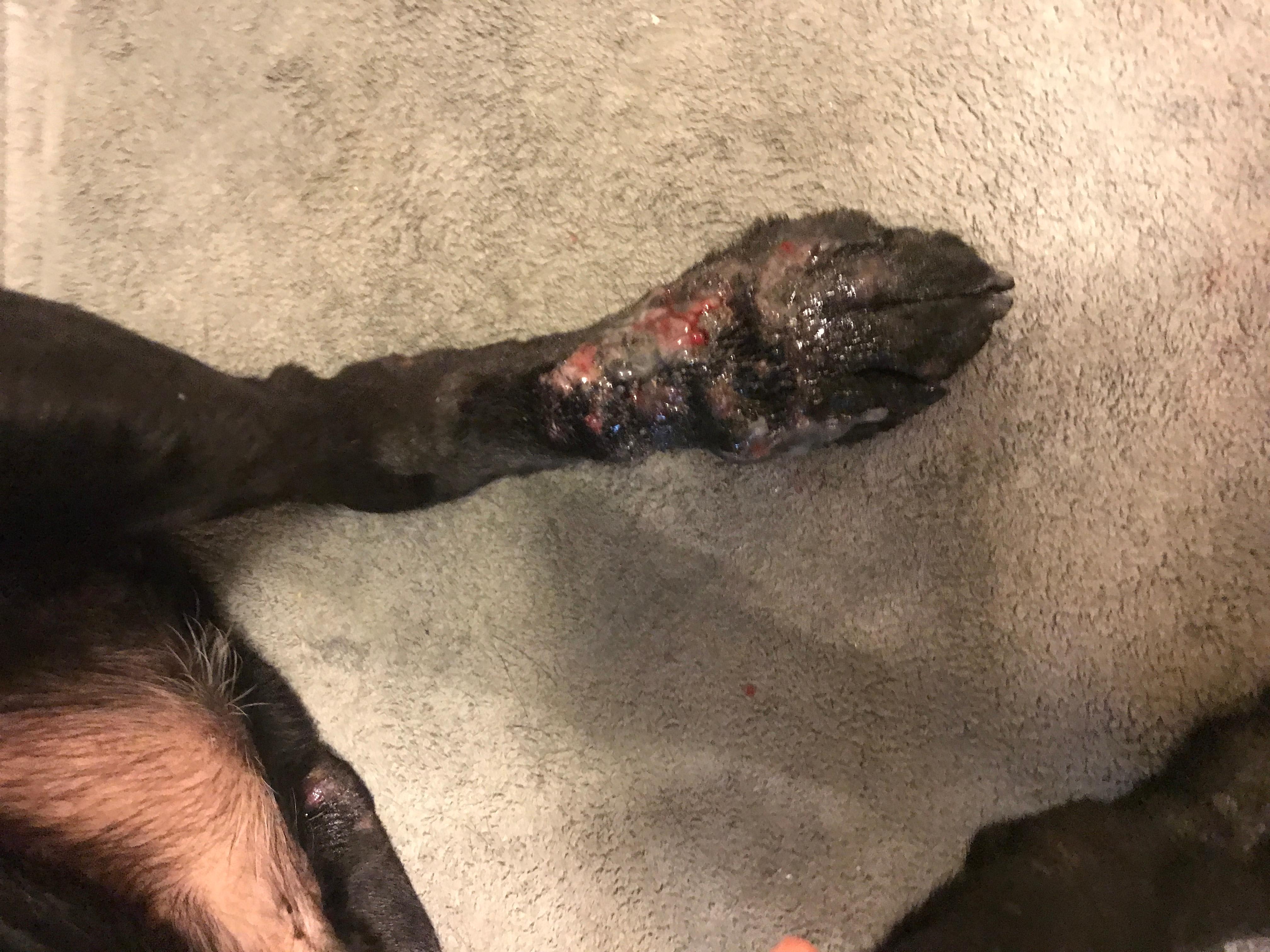 Question details sensitive content