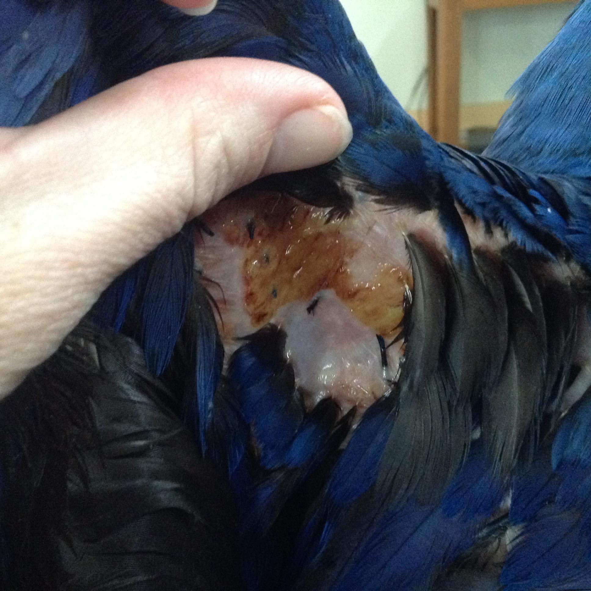 Question details sensitive content