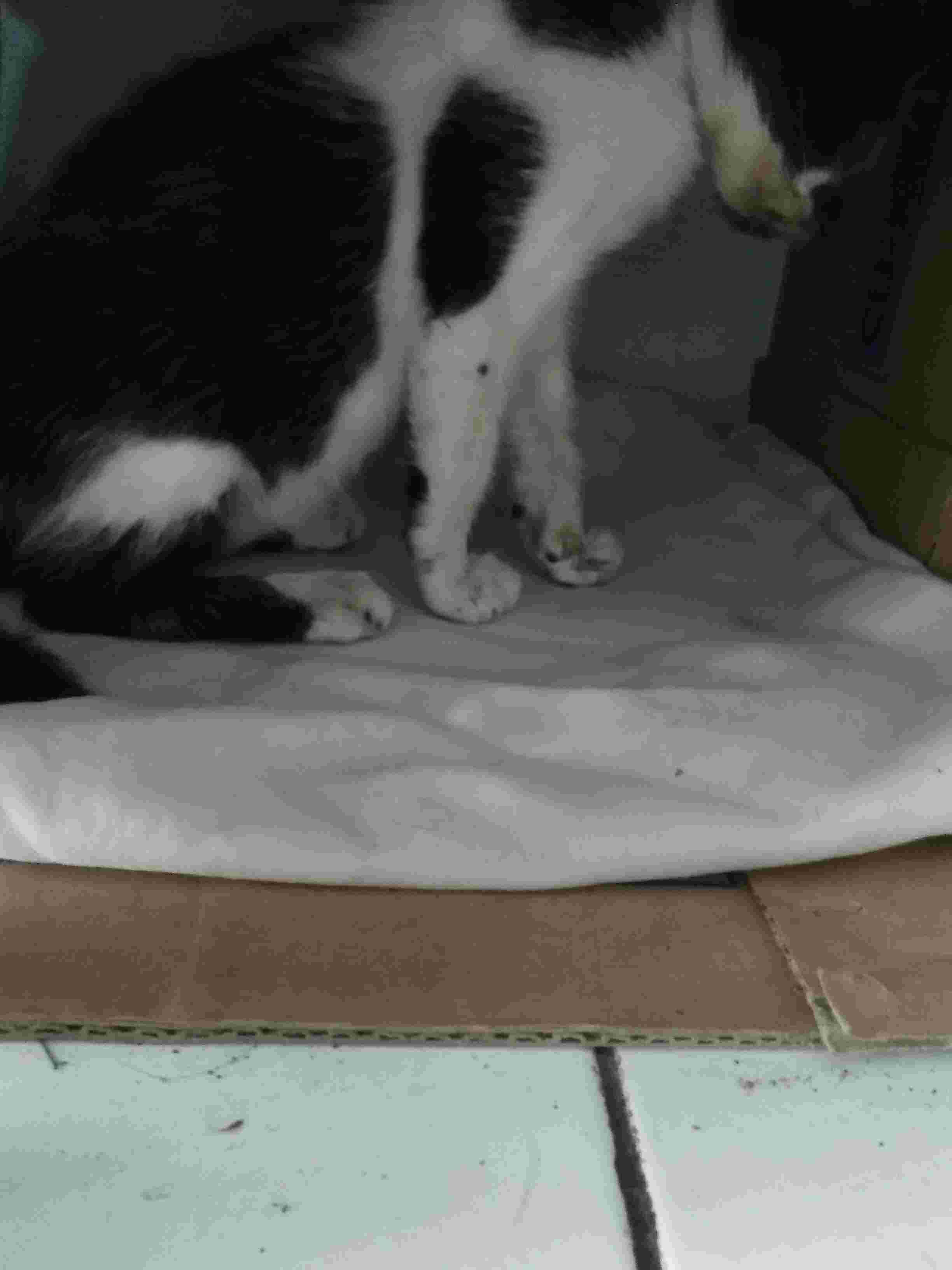 Question details sensitive content