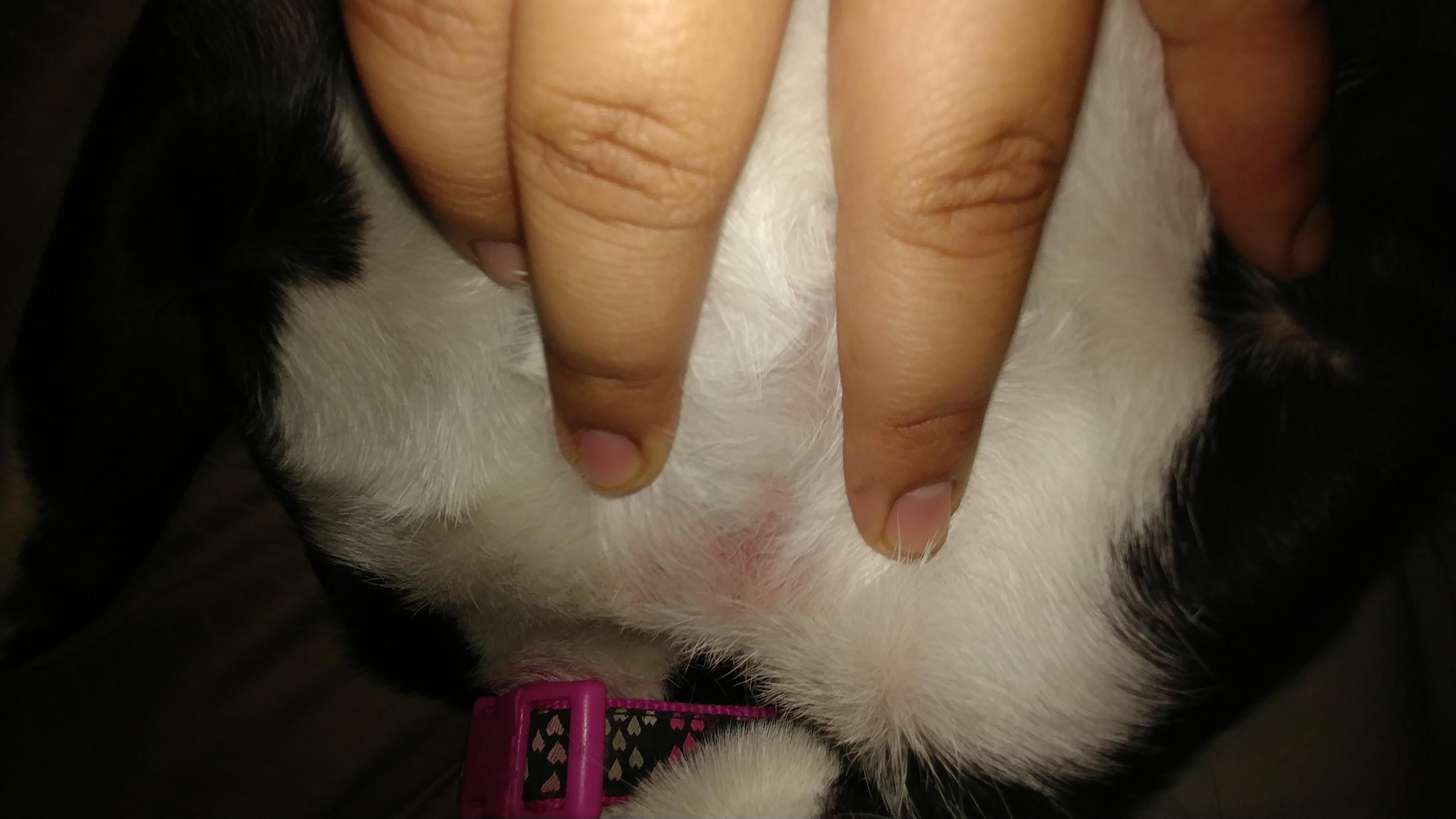 Question details sensitive content