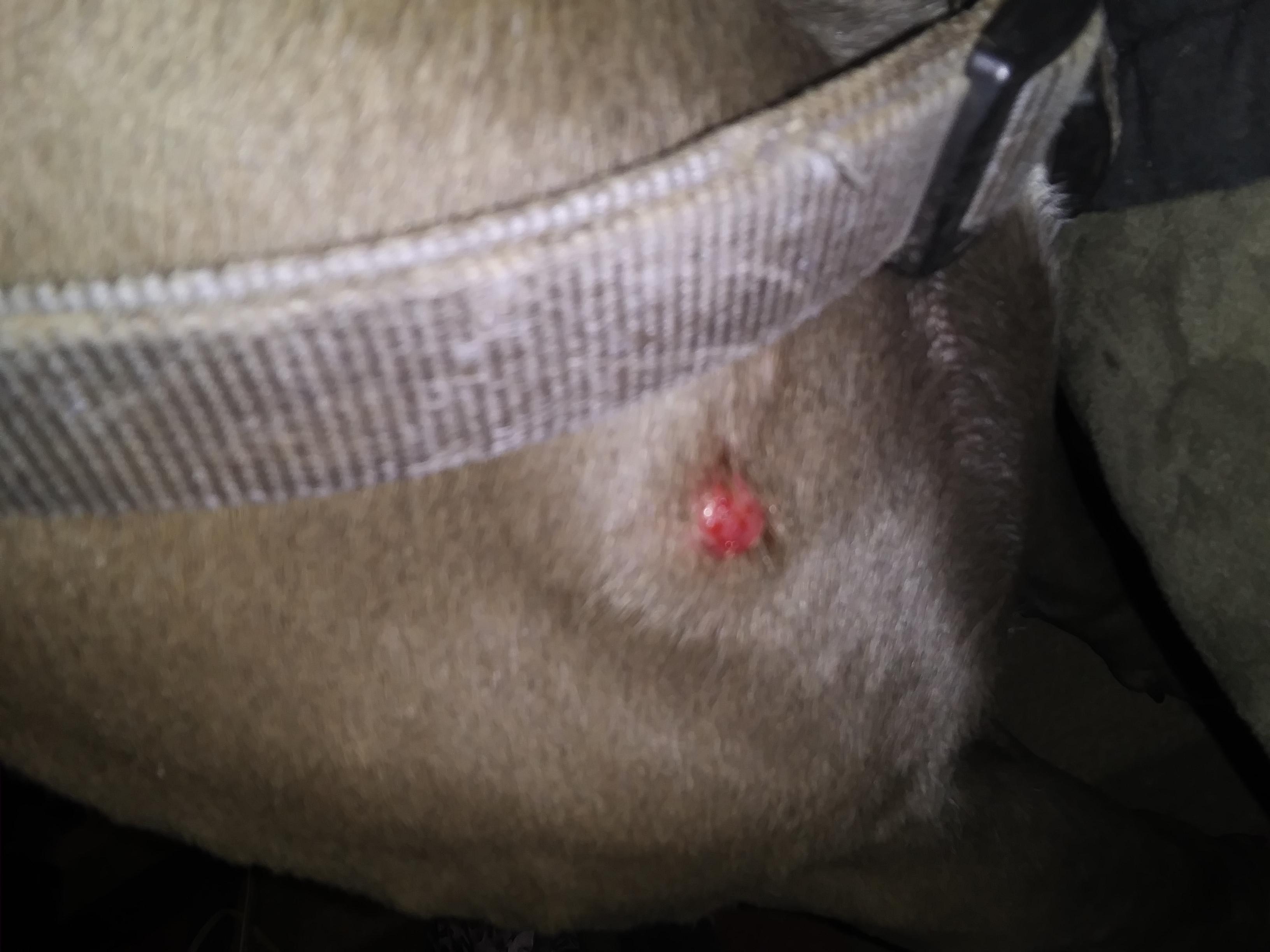 Question details sensitive content