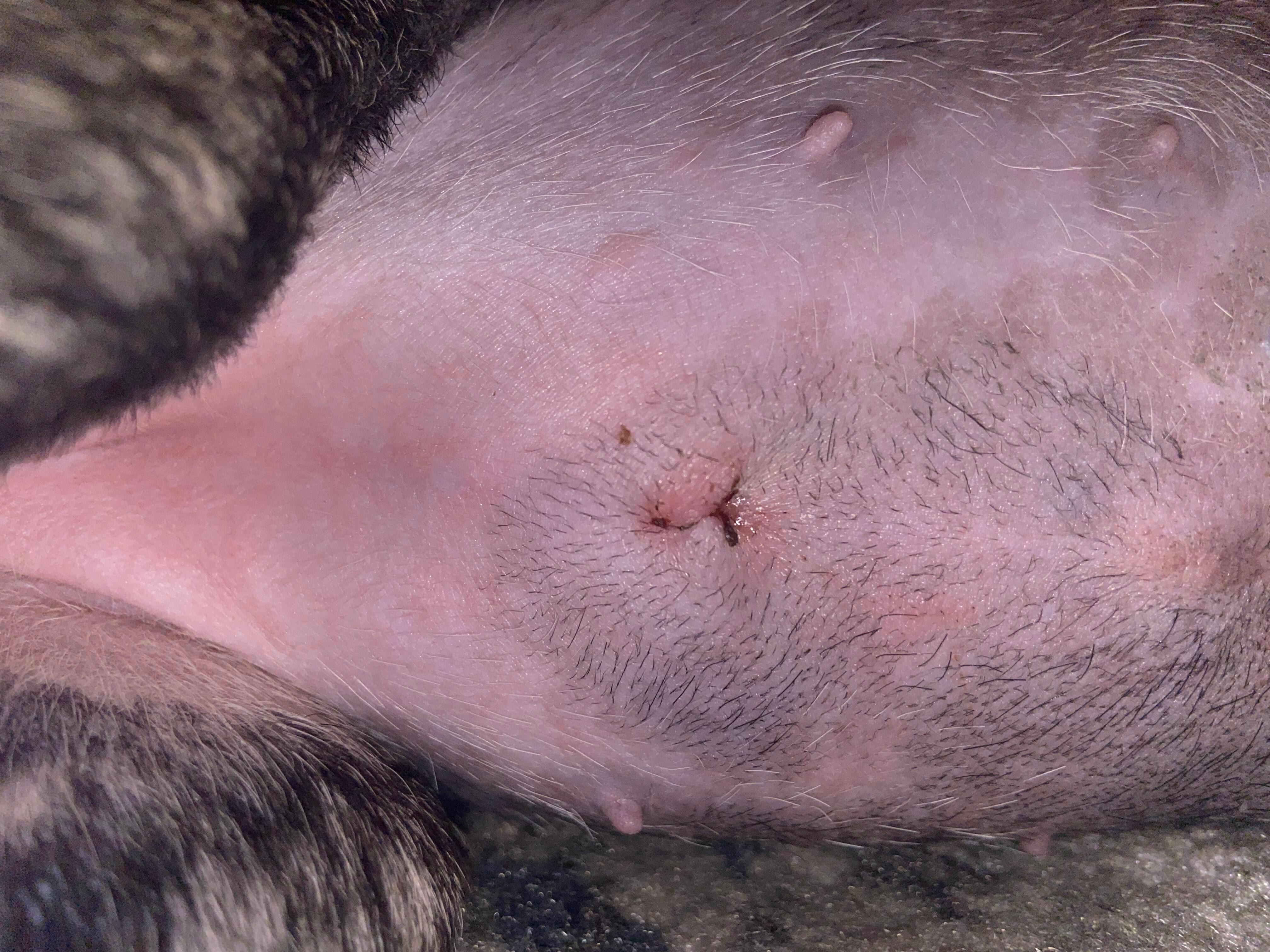 Question details sensitive content