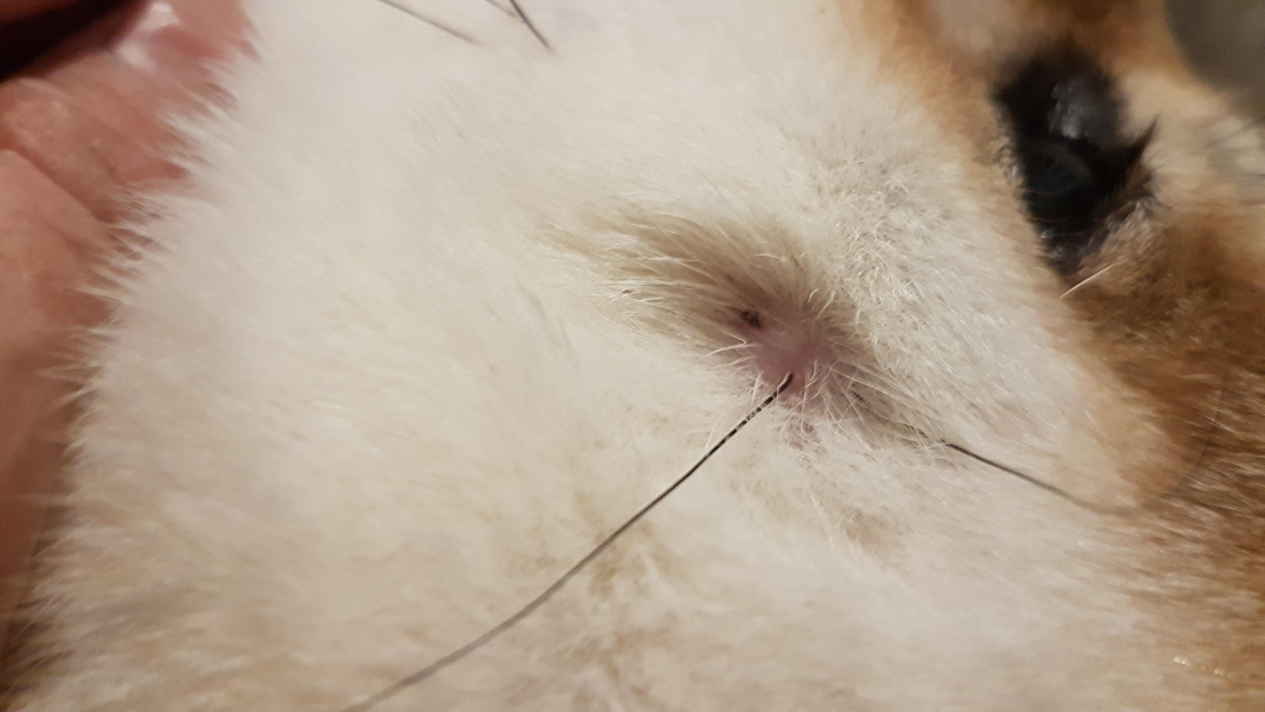 Question details sensitive content