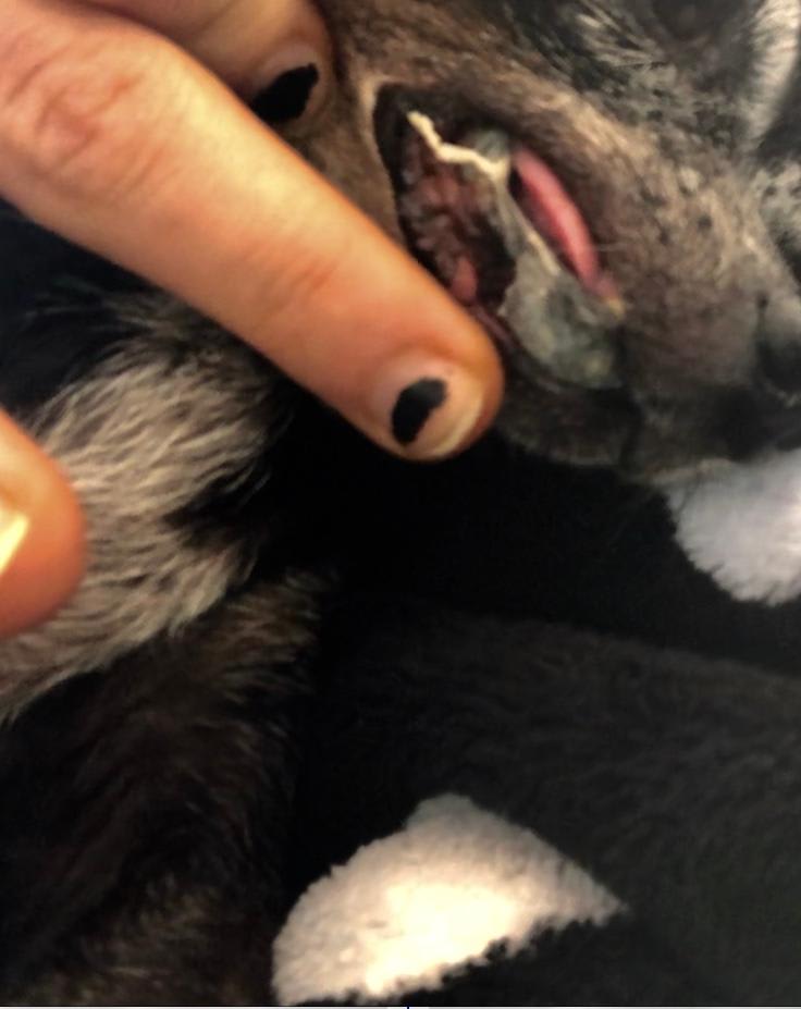 Question details sensitive content