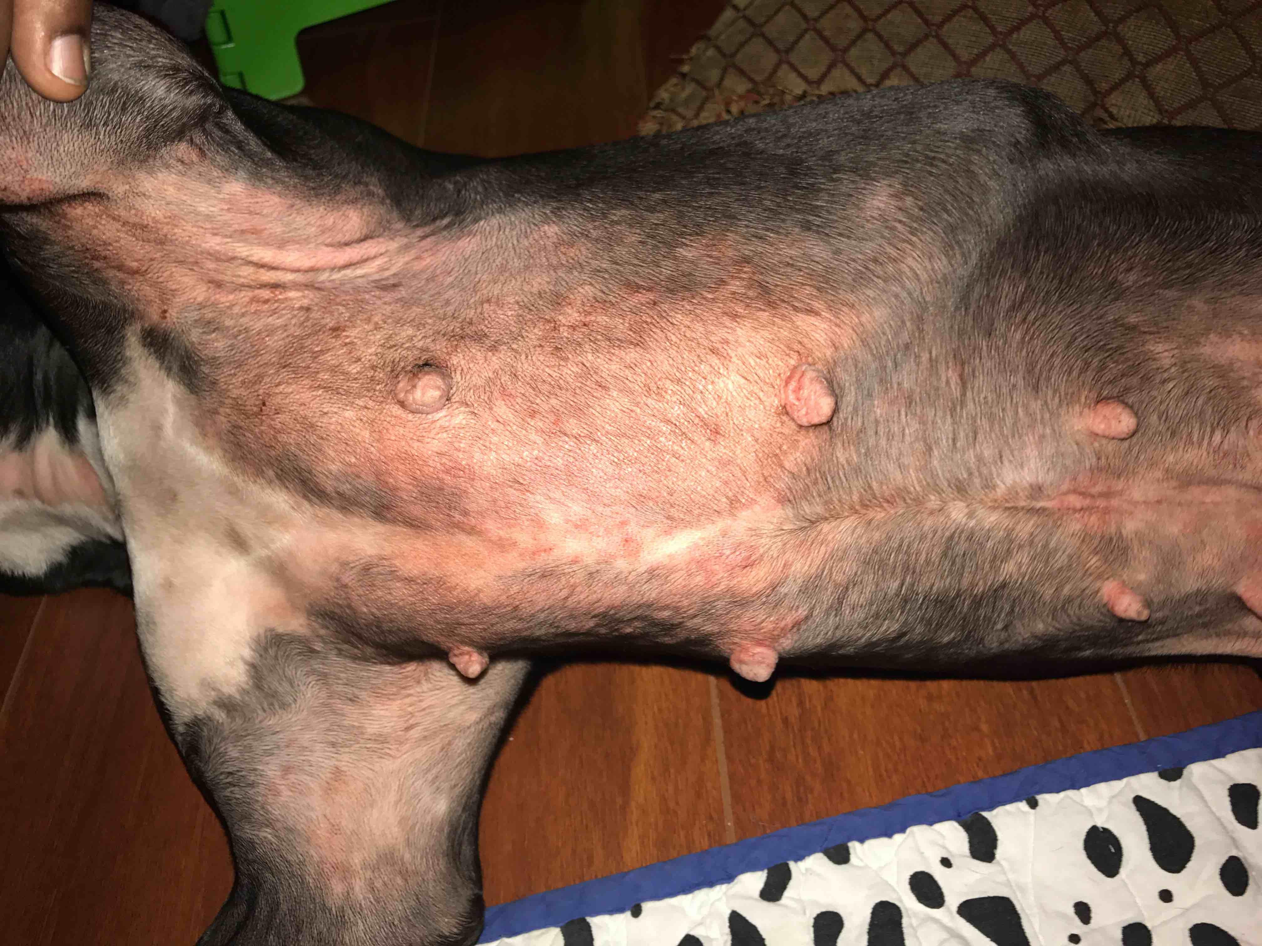 Question details sensitive content